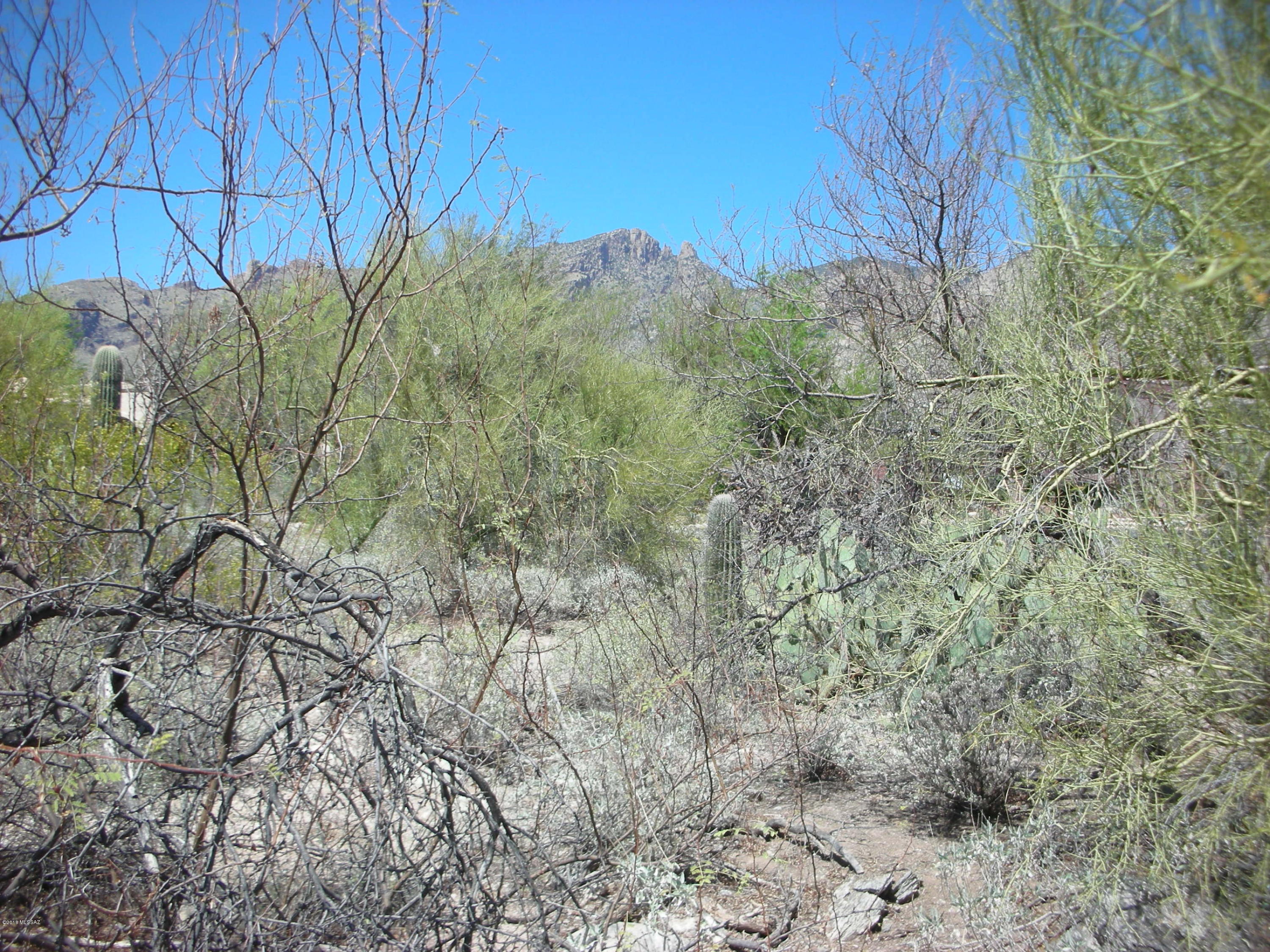 La Paloma Ridge Estates I (1-69) - Land