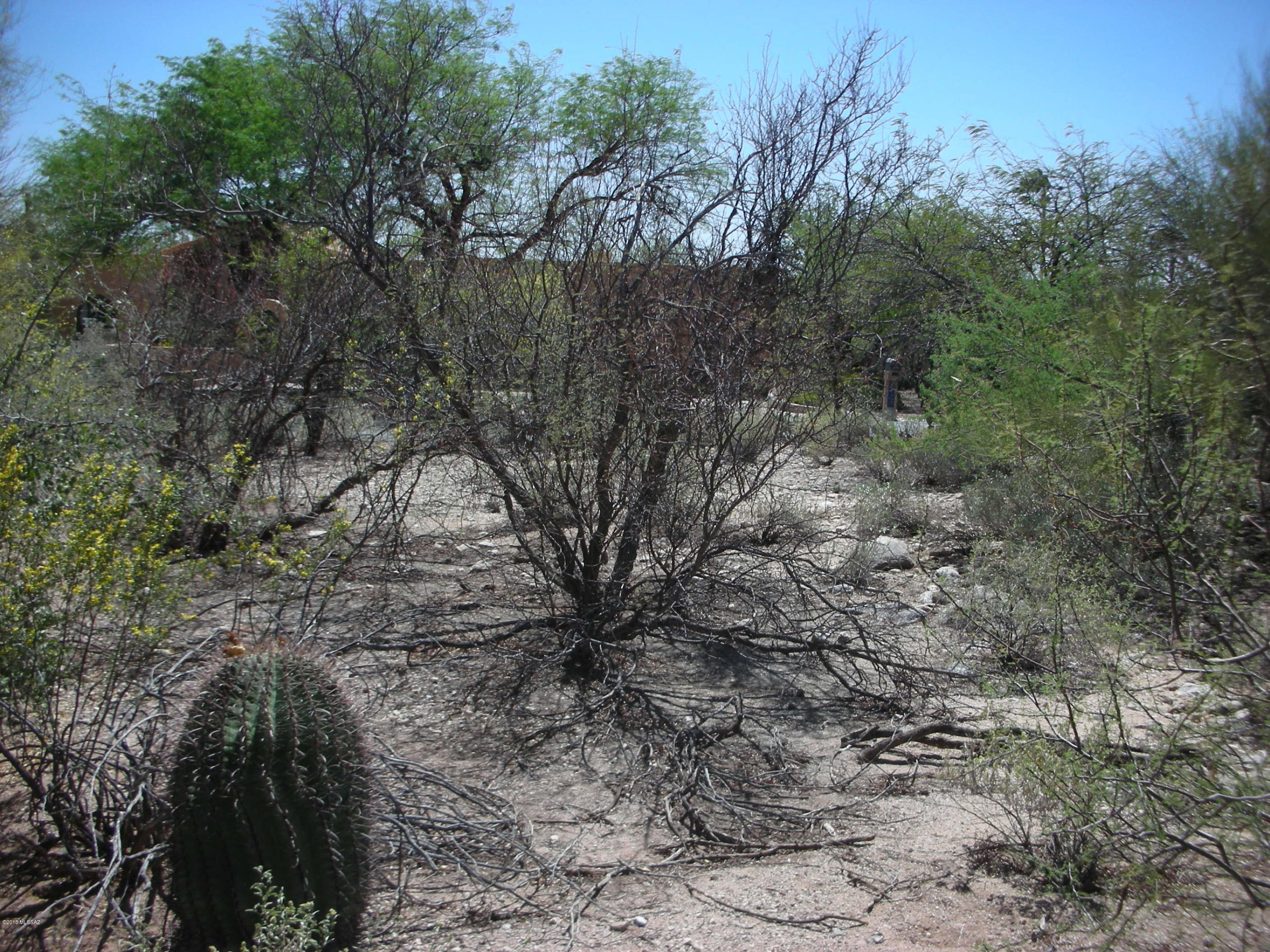 La Paloma Ridge Estates I (1-69) - Land