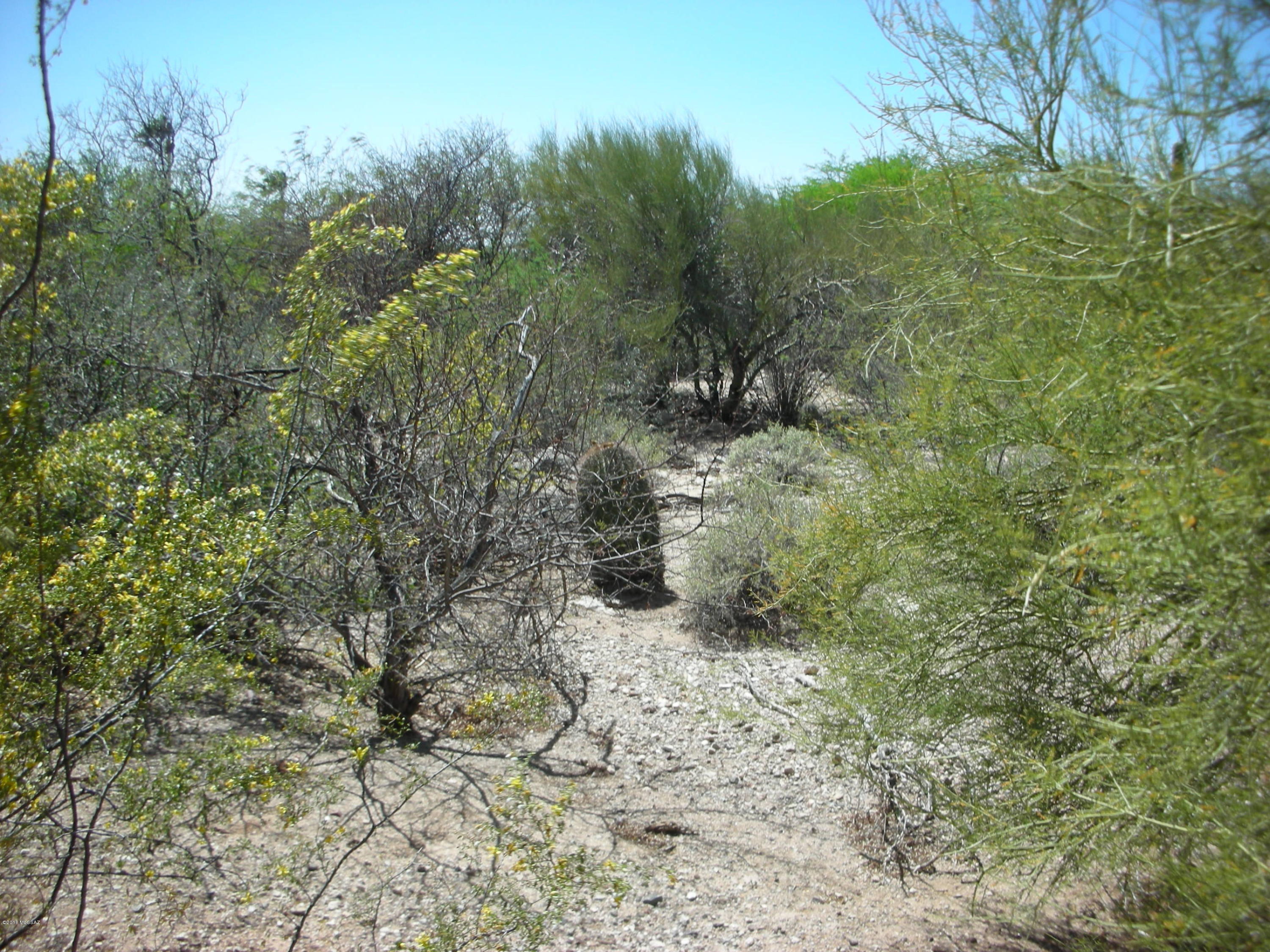 La Paloma Ridge Estates I (1-69) - Land