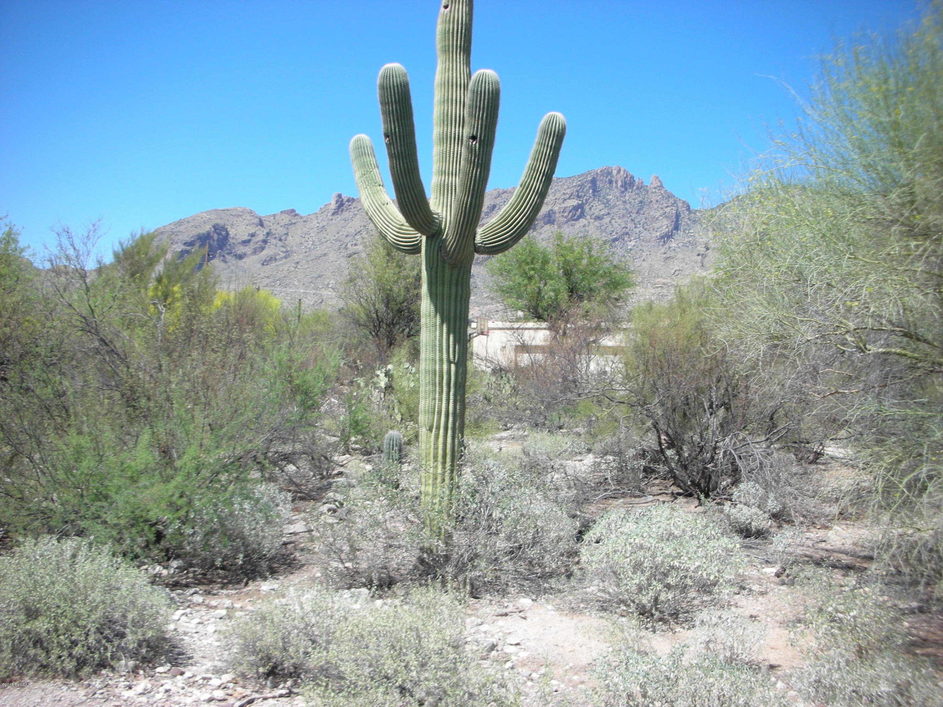 La Paloma Ridge Estates I (1-69) - Land