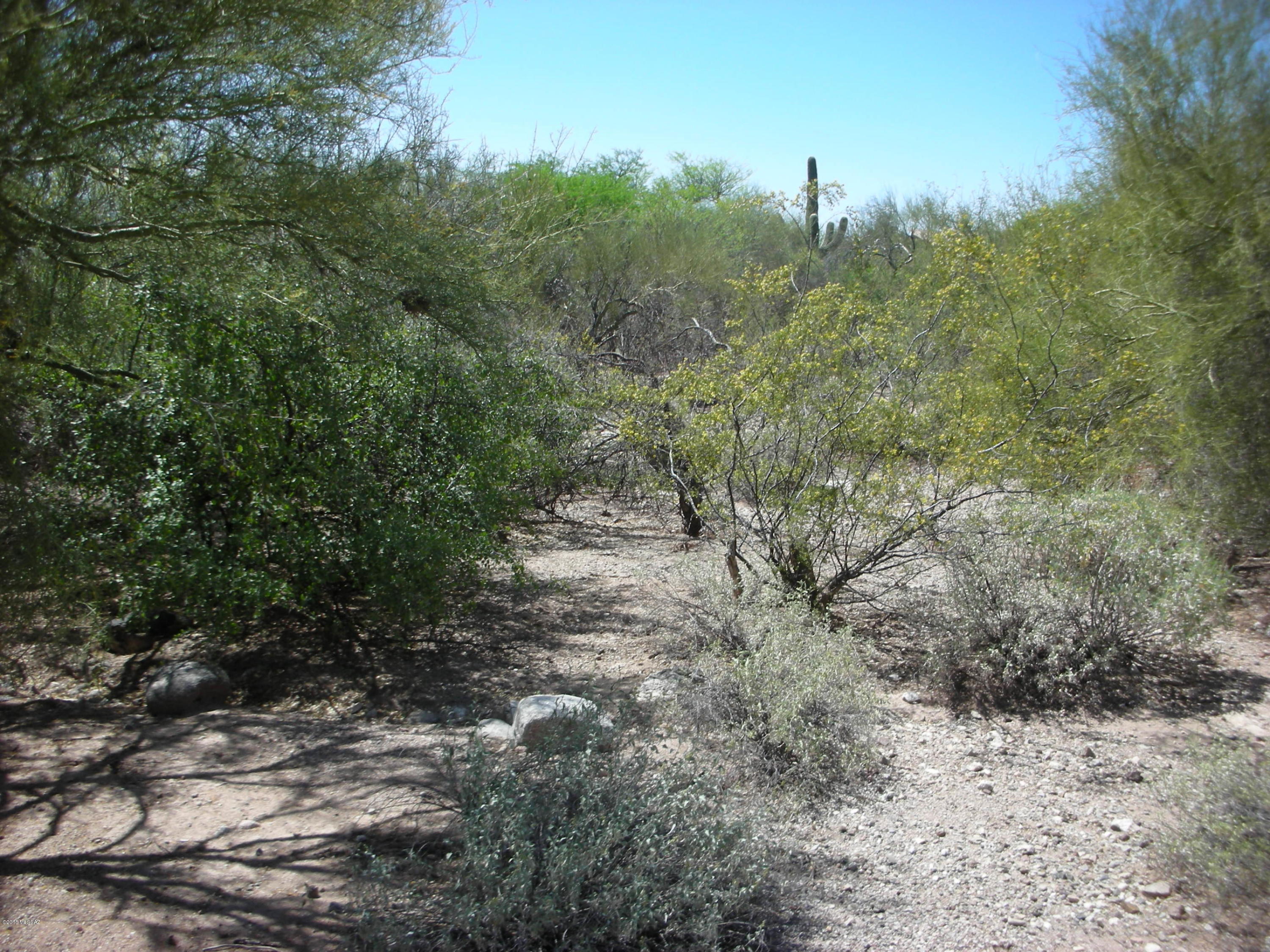 La Paloma Ridge Estates I (1-69) - Land