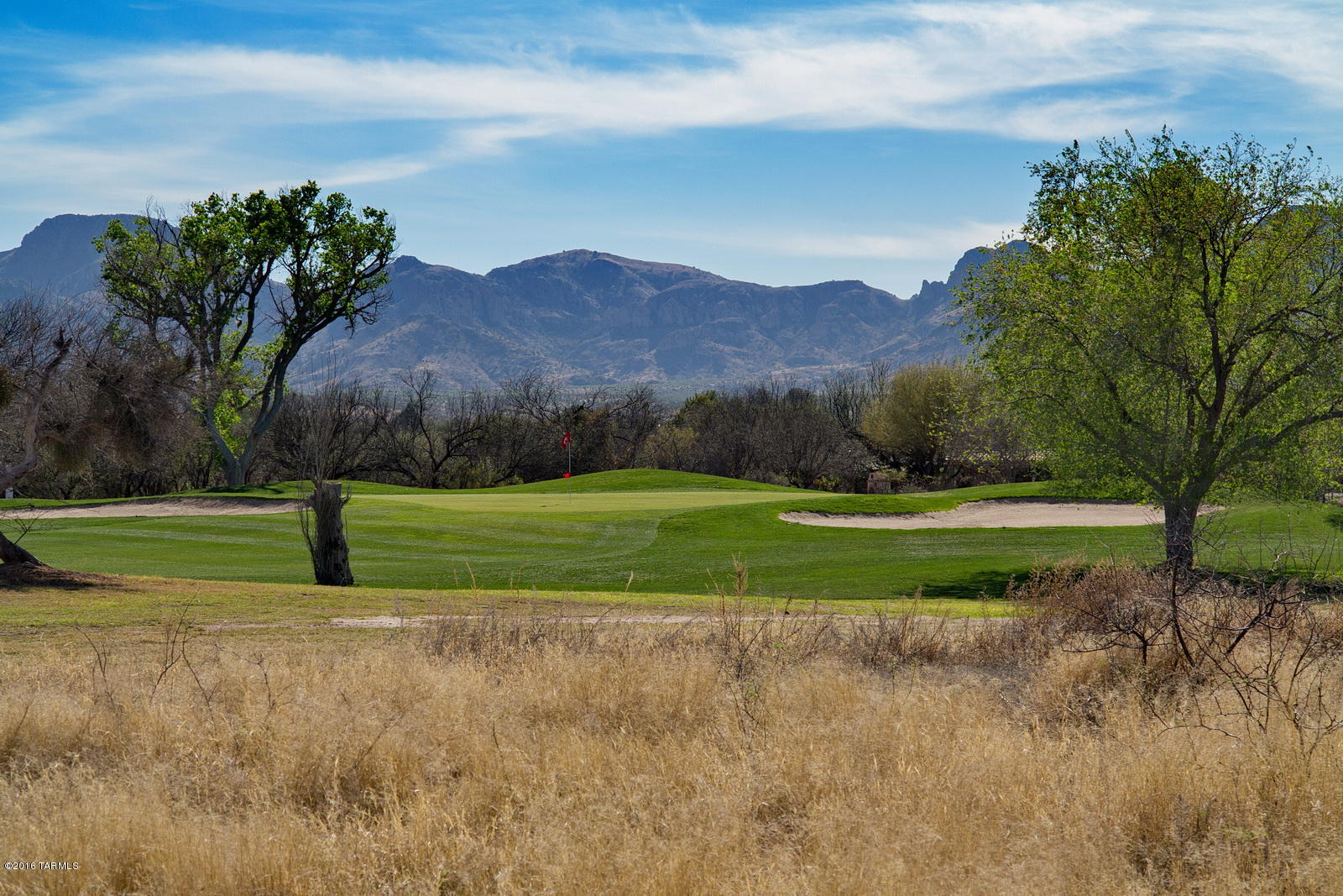 This .71 ac lot is in the heart of the Tubac Golf Resort but has NO HOA! Water & electric to the lot. Large cottonwood trees & ponds nearby and great views of the Tumacacori & Santa Rita Mtns. Close to all the resort has to offer, close to the Village of Tubac and close to highway access.