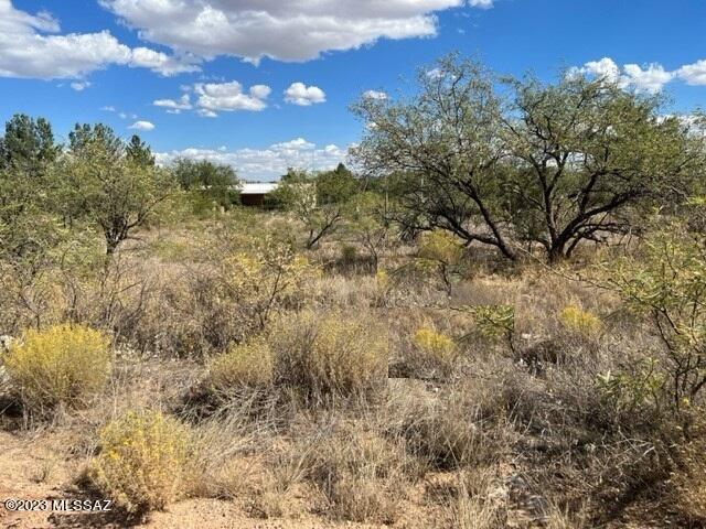 Mescal Lakes - Land