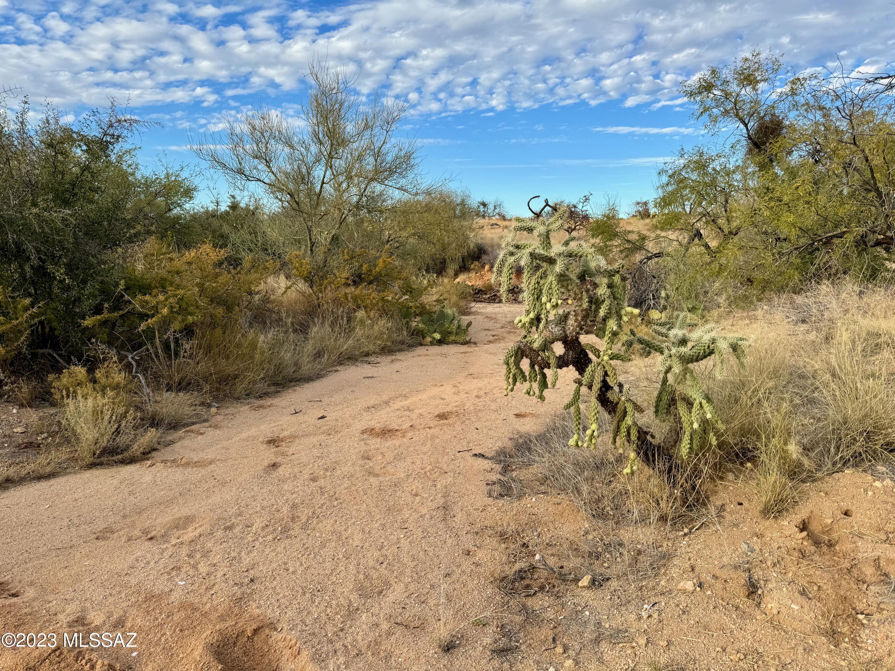 Diamond Bell Ranch - Tucson Unit 6 (1-435) - Land