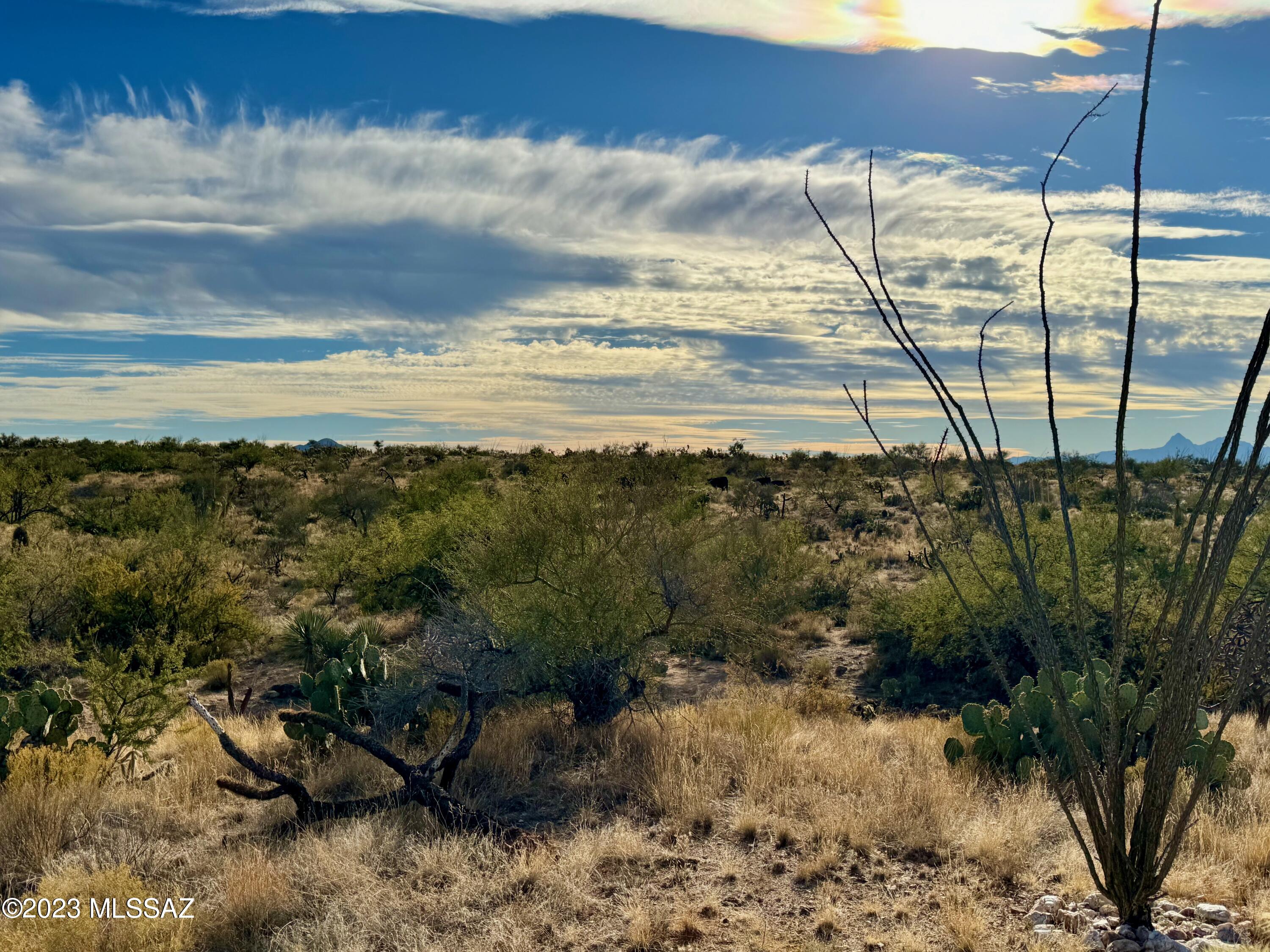 Diamond Bell Ranch - Tucson Unit 6 (1-435) - Land