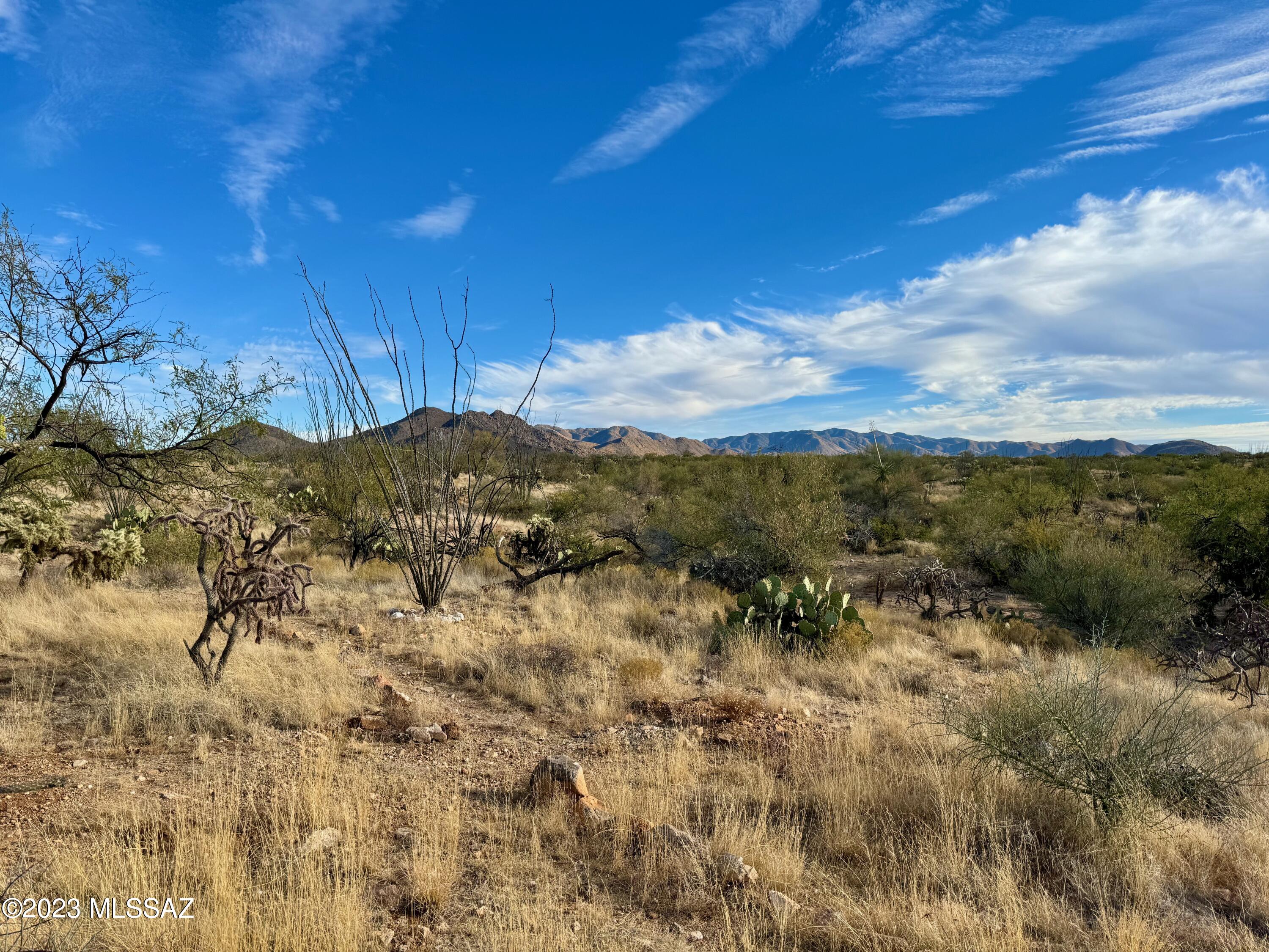 Diamond Bell Ranch - Tucson Unit 6 (1-435) - Land