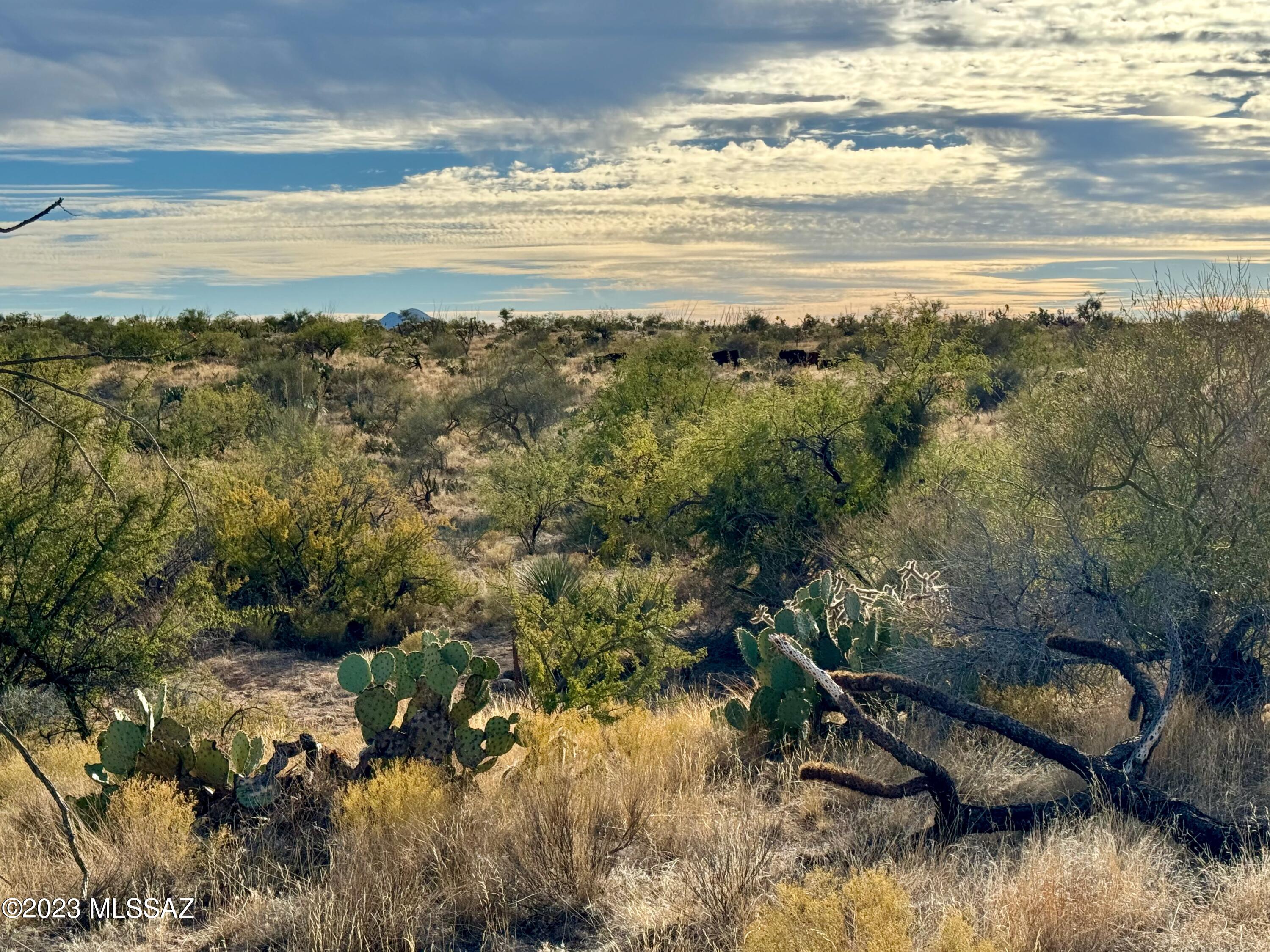 Diamond Bell Ranch - Tucson Unit 6 (1-435) - Land