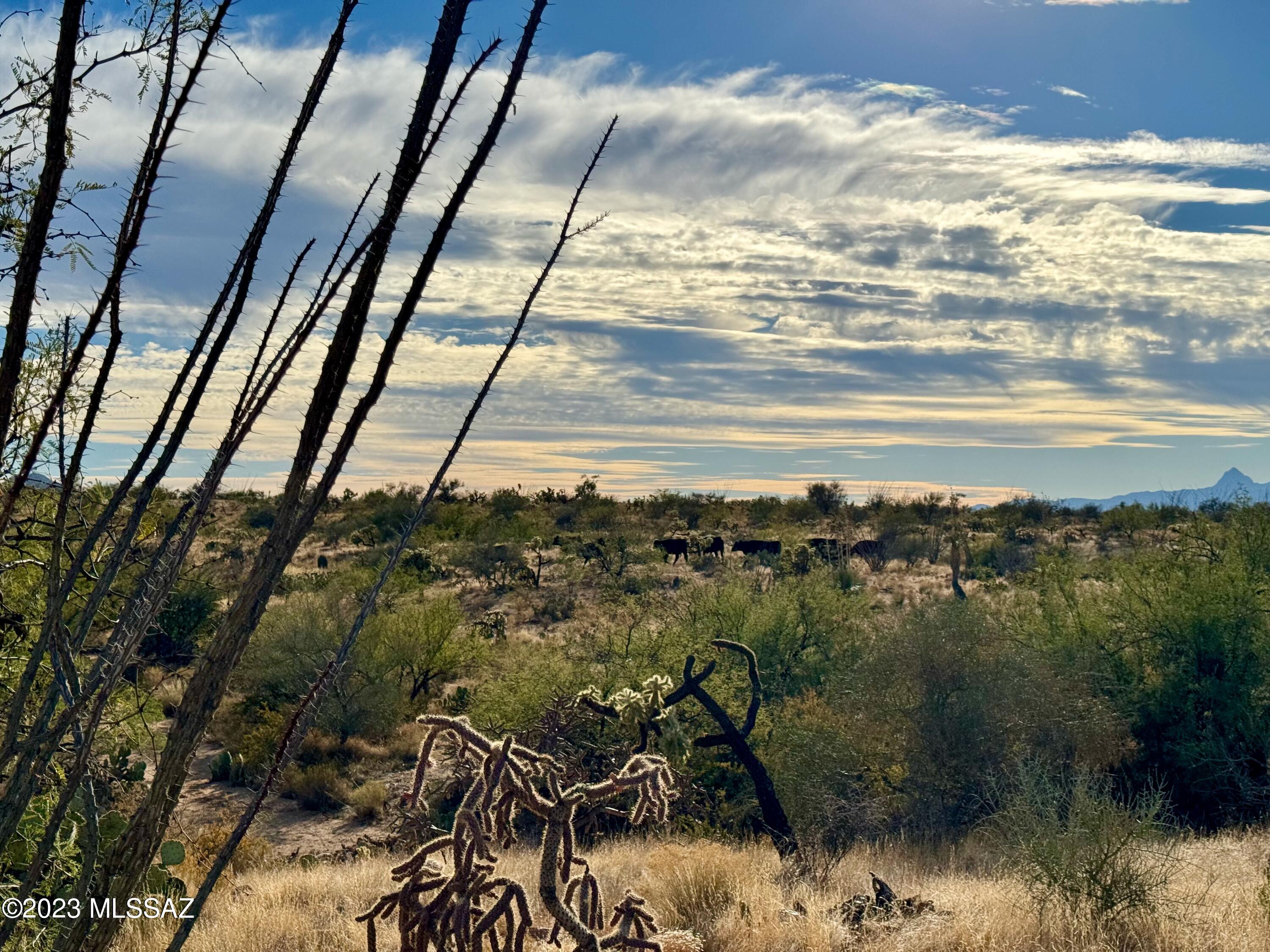 Diamond Bell Ranch - Tucson Unit 6 (1-435) - Land