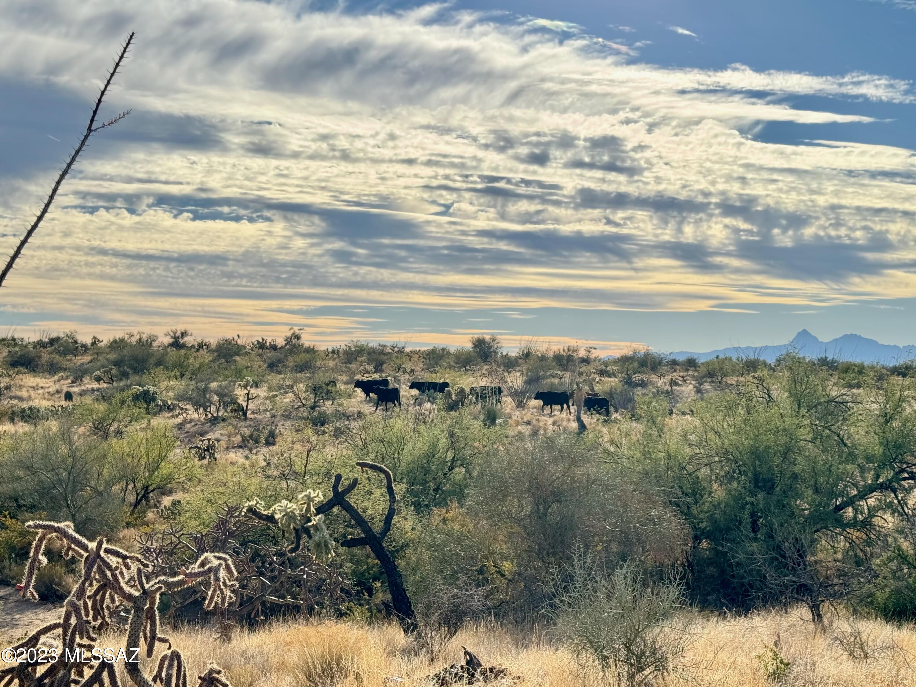 Diamond Bell Ranch - Tucson Unit 6 (1-435) - Land