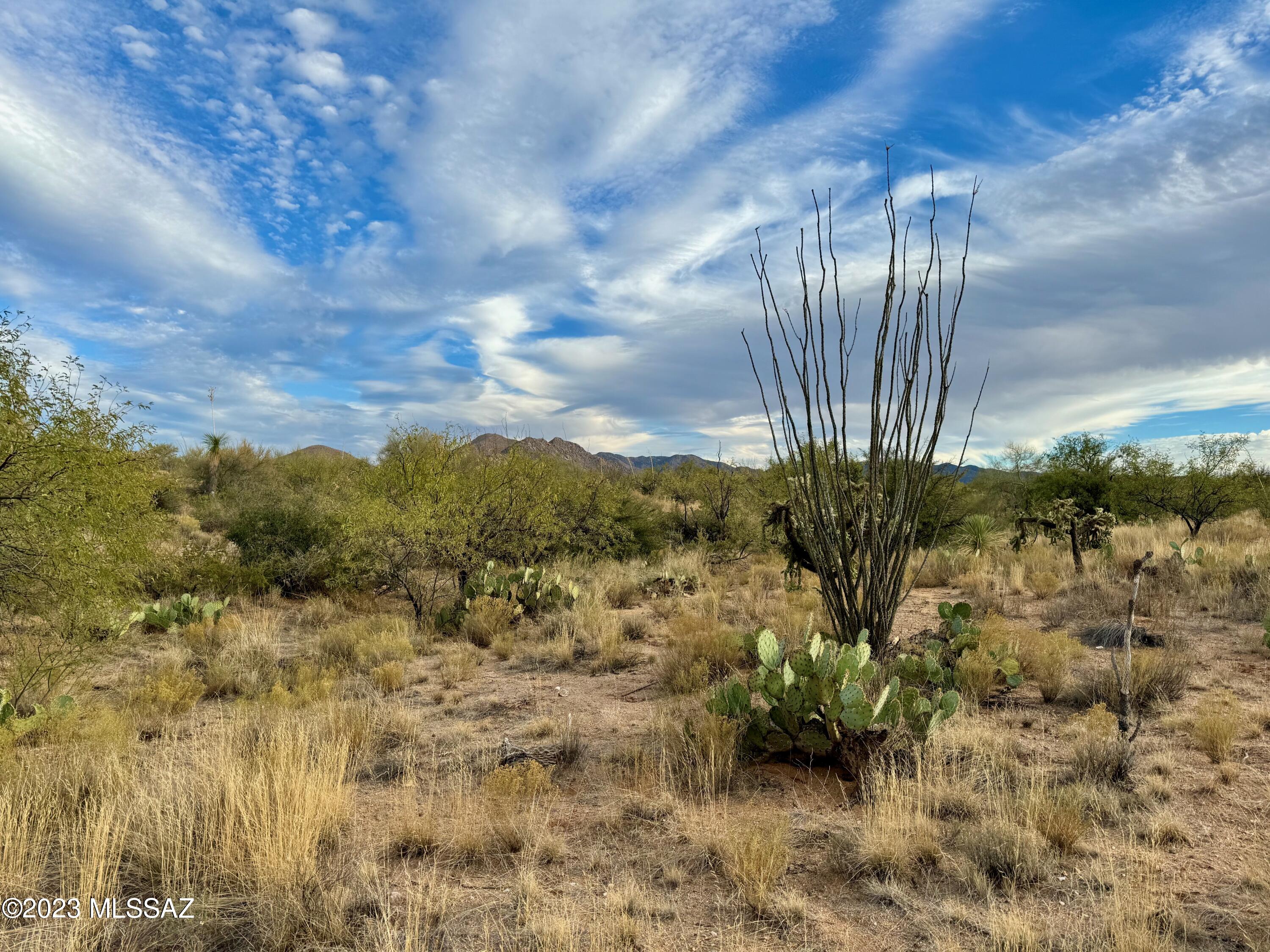 Diamond Bell Ranch - Tucson Unit 6 (1-435) - Land