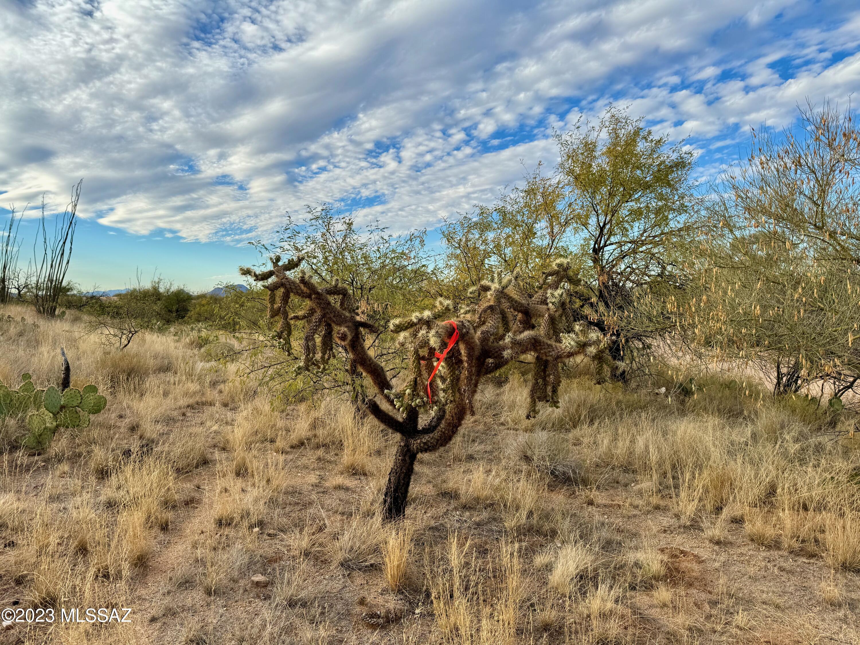 Diamond Bell Ranch - Tucson Unit 6 (1-435) - Land