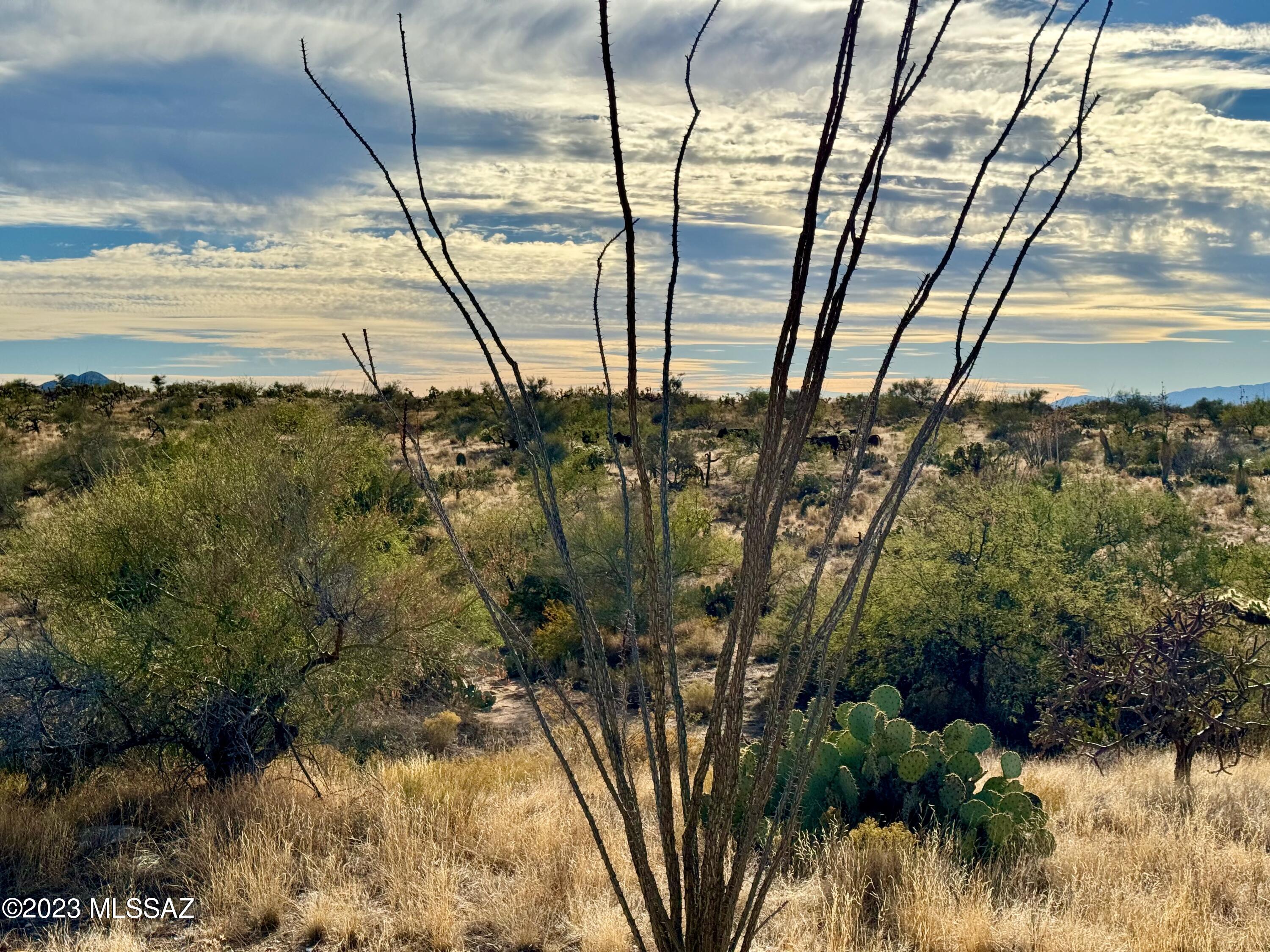 Diamond Bell Ranch - Tucson Unit 6 (1-435) - Land