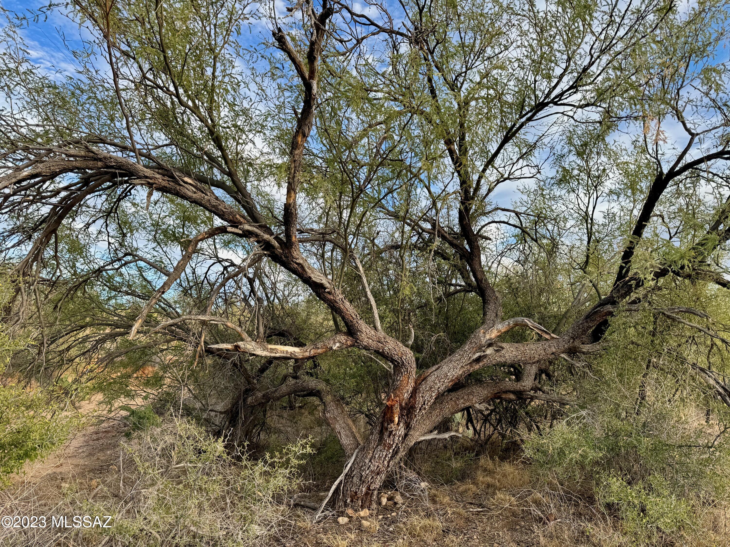 Diamond Bell Ranch - Tucson Unit 6 (1-435) - Land