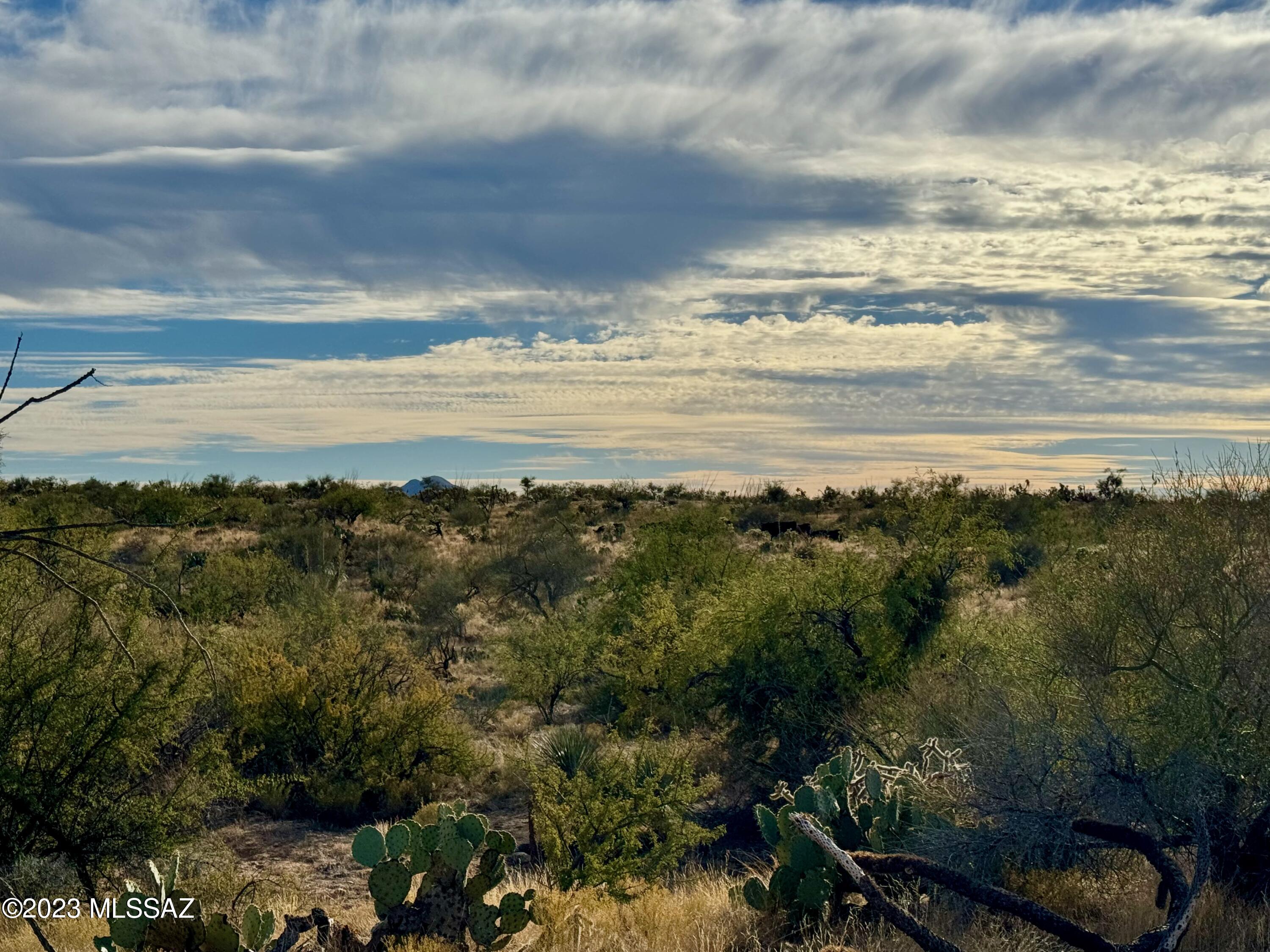 Diamond Bell Ranch - Tucson Unit 6 (1-435) - Land