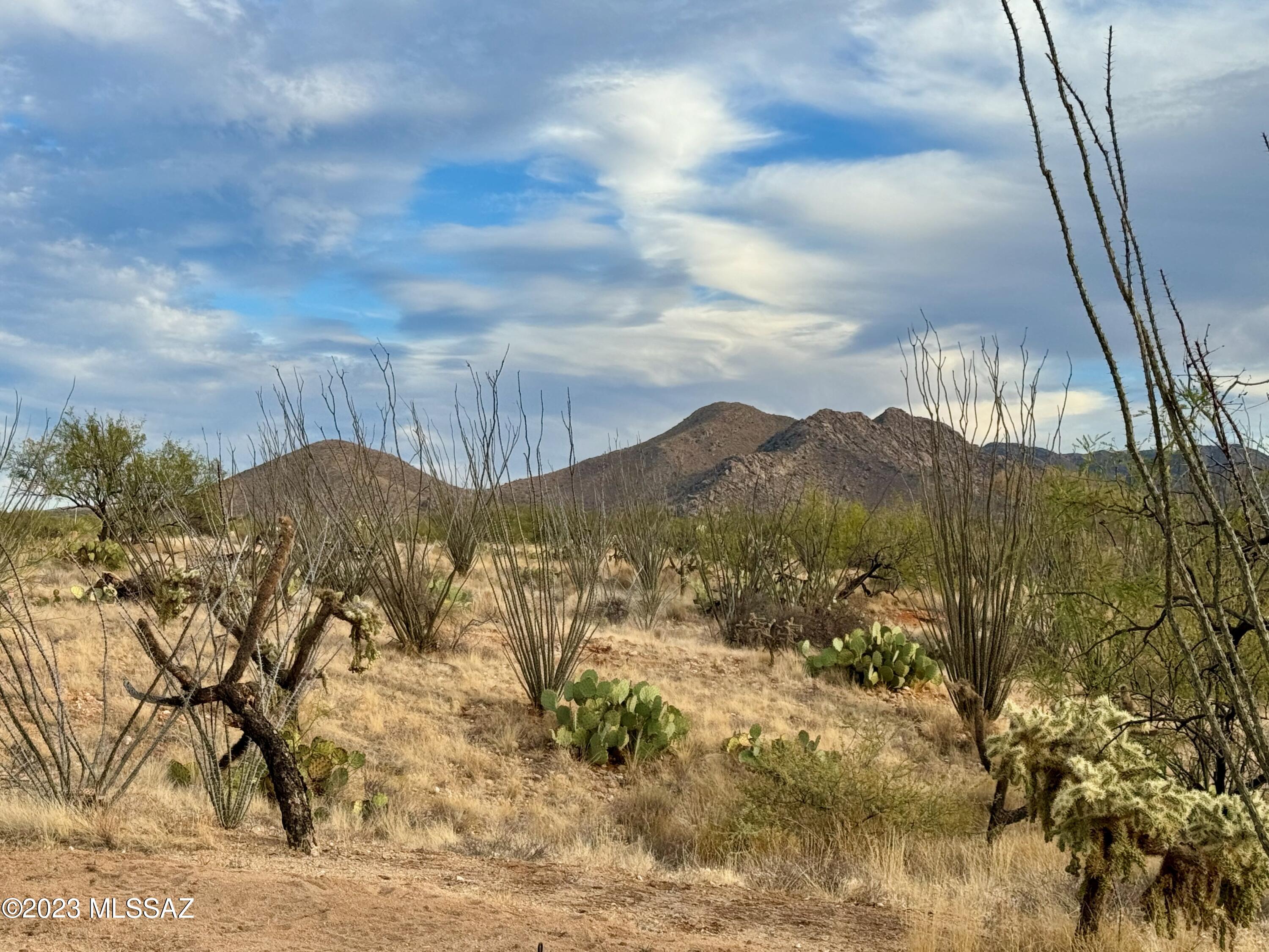 Diamond Bell Ranch - Tucson Unit 6 (1-435) - Land