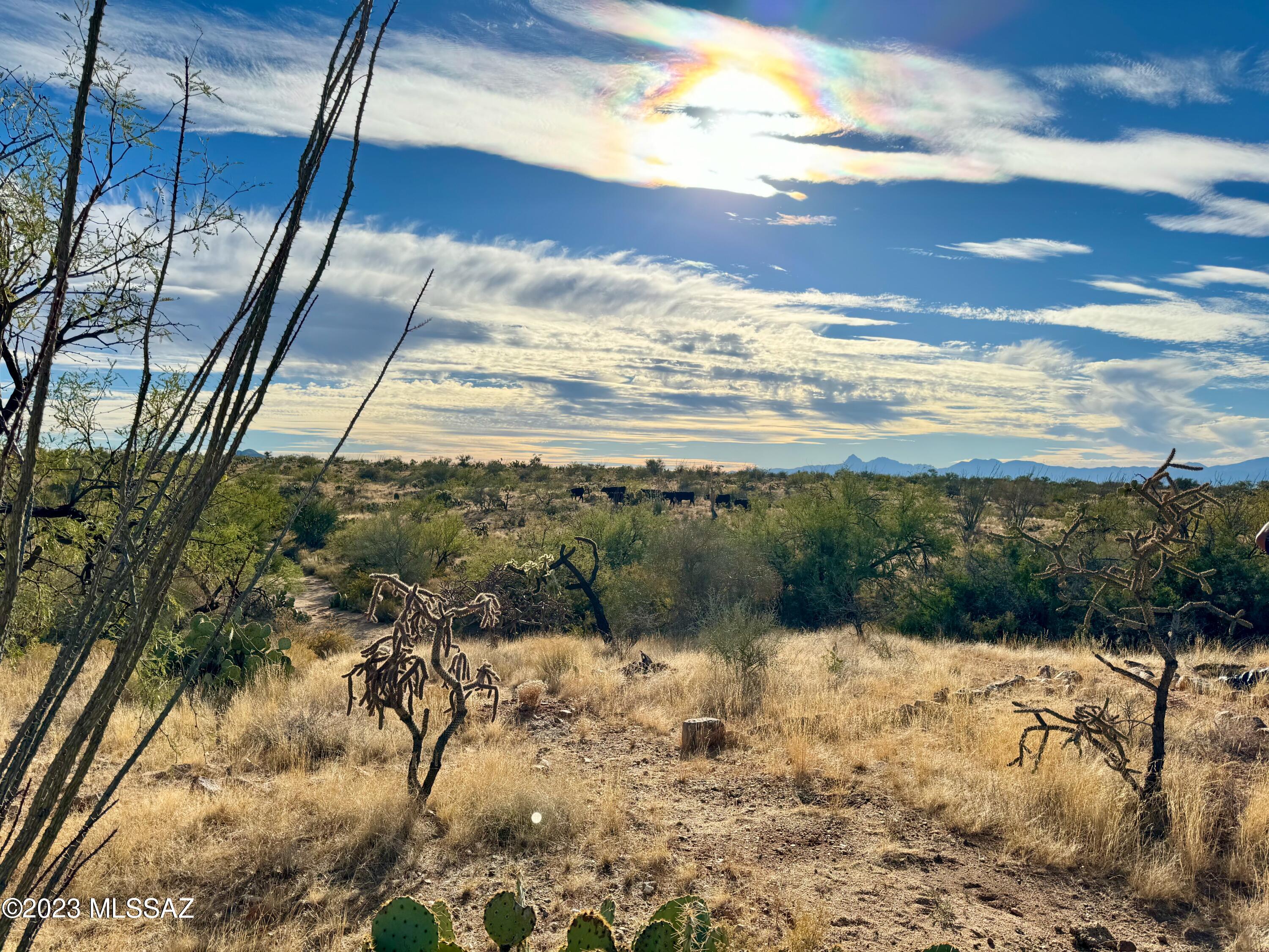 Breathtakingly beautiful and tranquil Sonoran Desert parcel full of native flora and fauna in the foothills of the Sierrita Mountains. 360 degree views of Southern AZ and its many mountain ranges. Access is via paved road until the last few hundred feet. Pathway has been created to a wash at the back of the property. U-shaped driveway and building site have already been cleared. Site-built homes only. No utilities, so plan for solar, propane generator, battery back-up, septic, and hauled water (or drill your own well), and build your dream retreat under the vast blue skies of Diamond Bell Ranch.