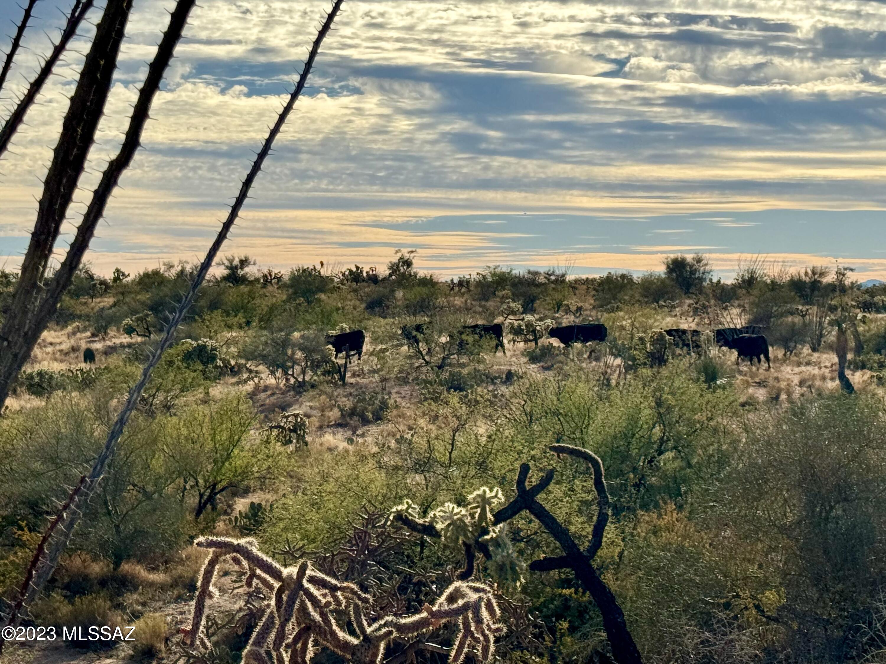 Diamond Bell Ranch - Tucson Unit 6 (1-435) - Land