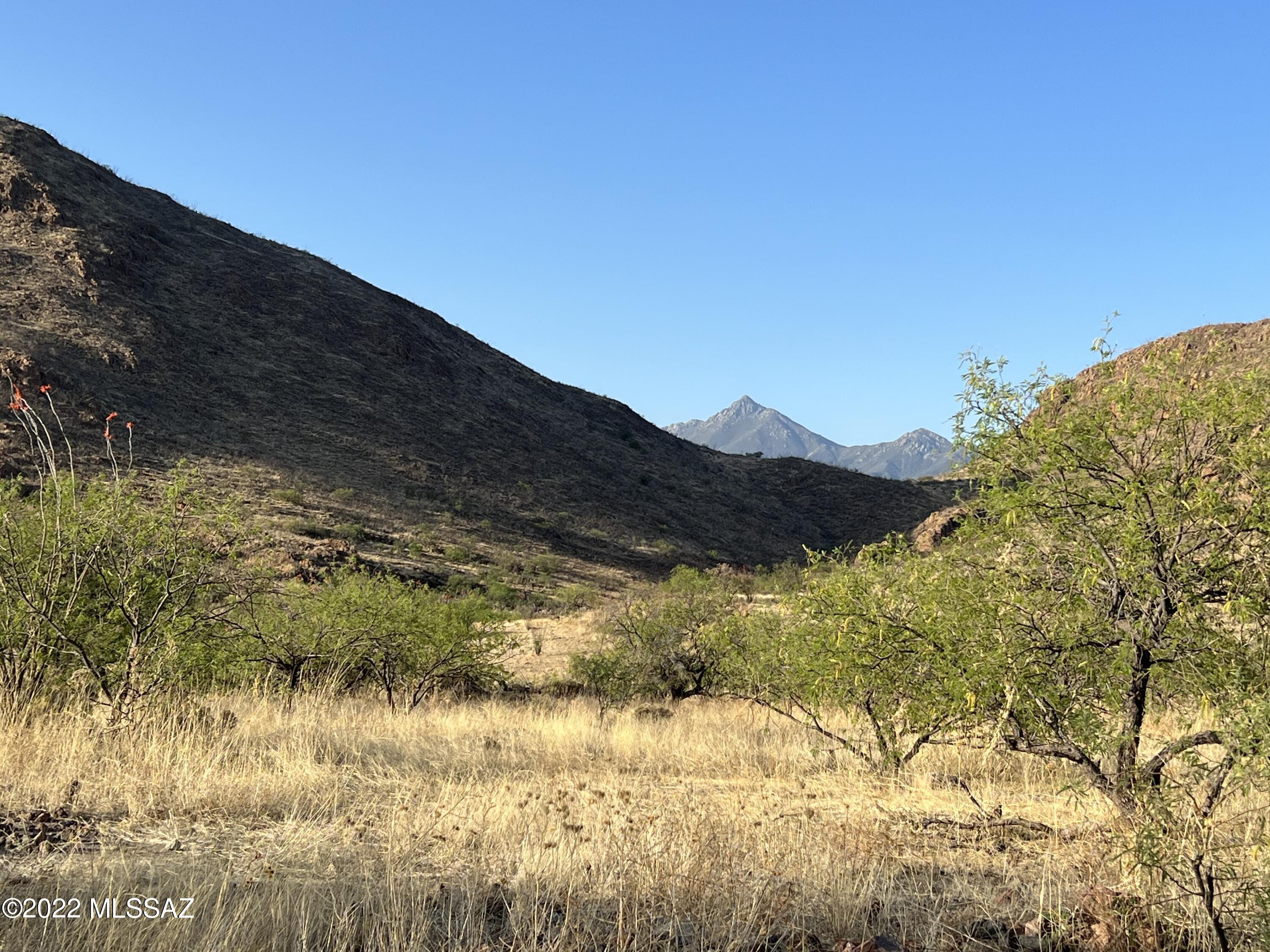Beautiful Salero Ranch property consisting of 44.77 acres and a private well!  Privacy yet close to the gated entrance for easy access. Surrounded by lush desert and panoramic views, you may build now or later with the builder of your choice.
