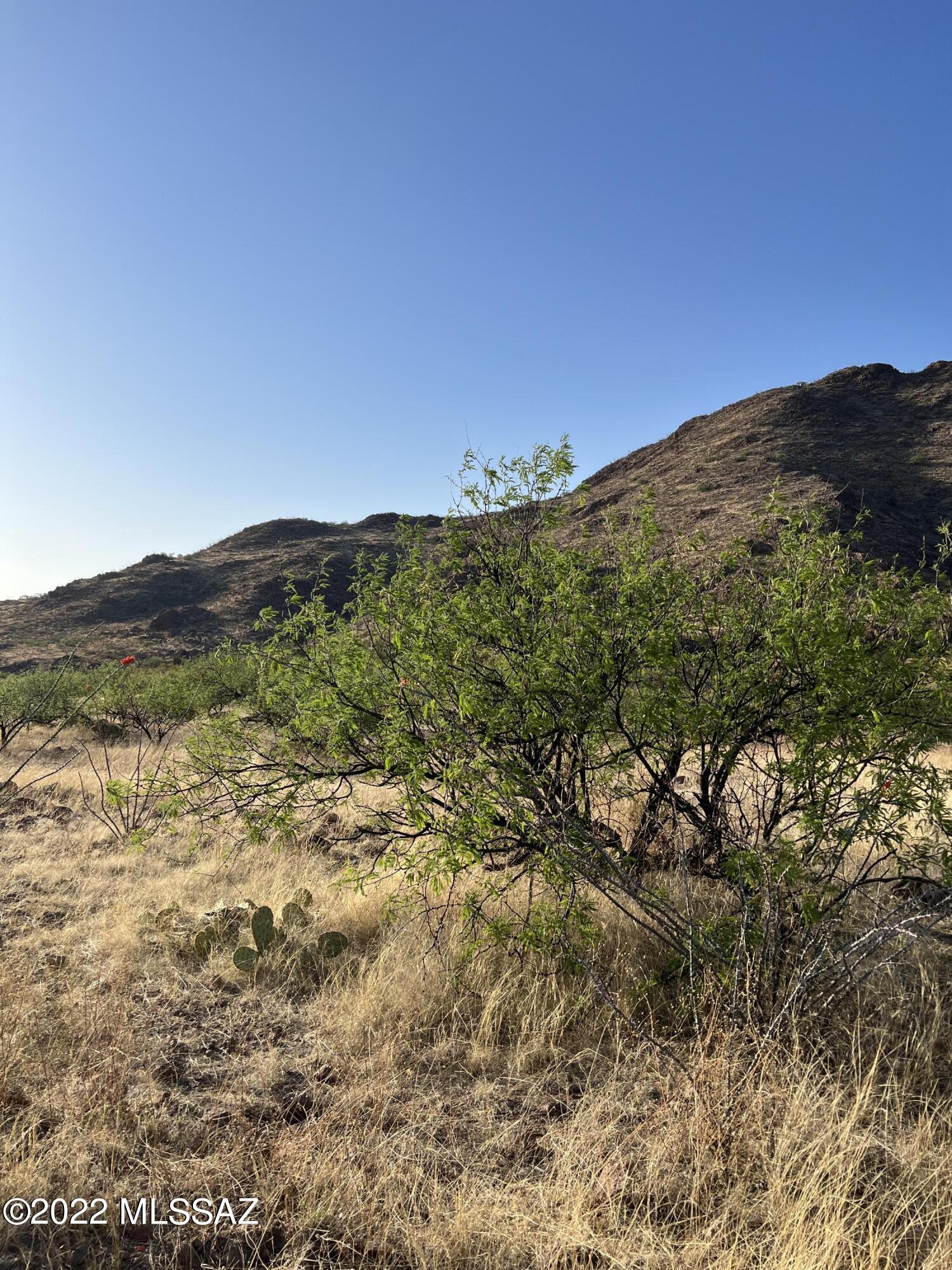 Salero Ranch - Land