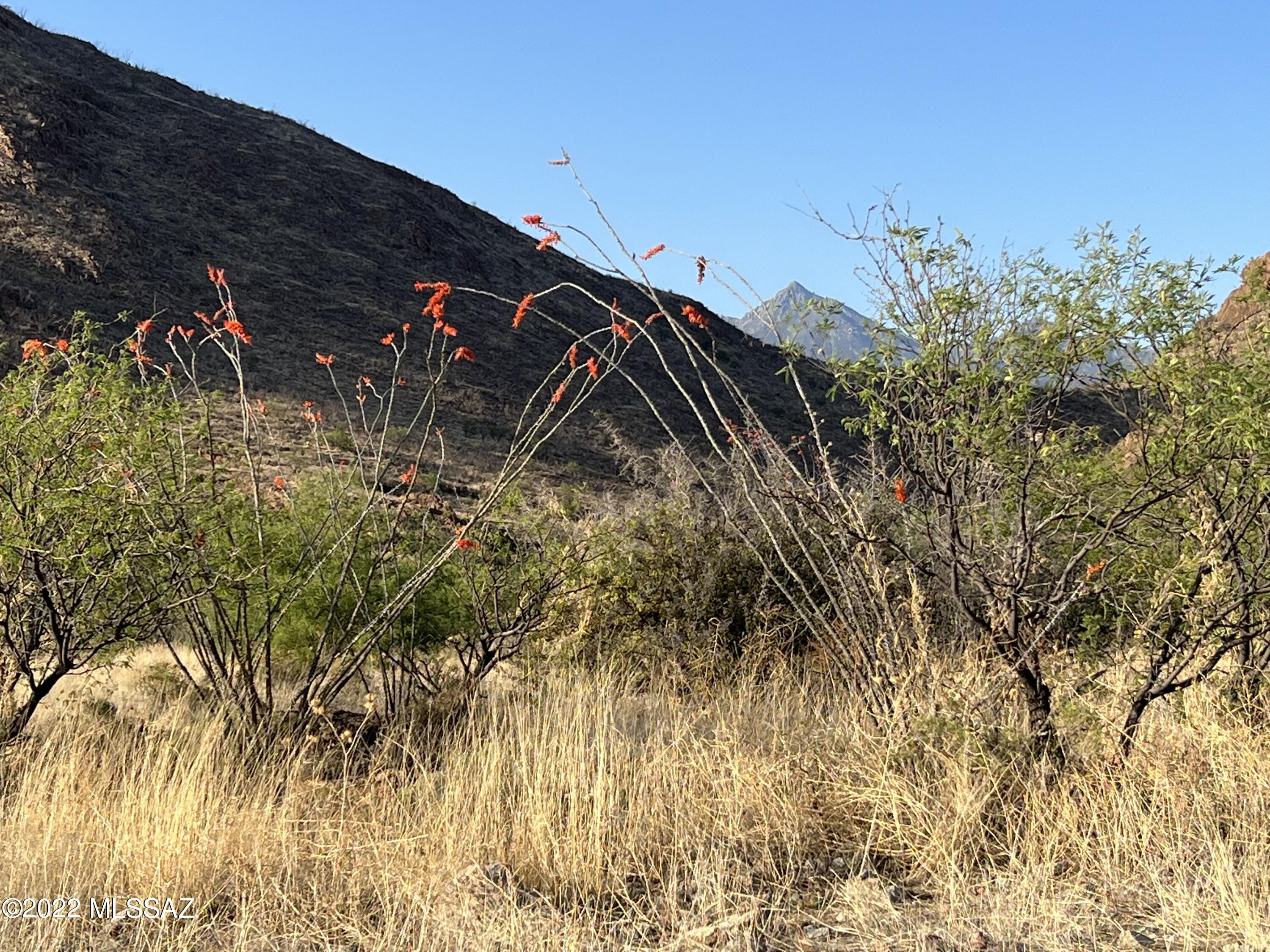 Salero Ranch - Land