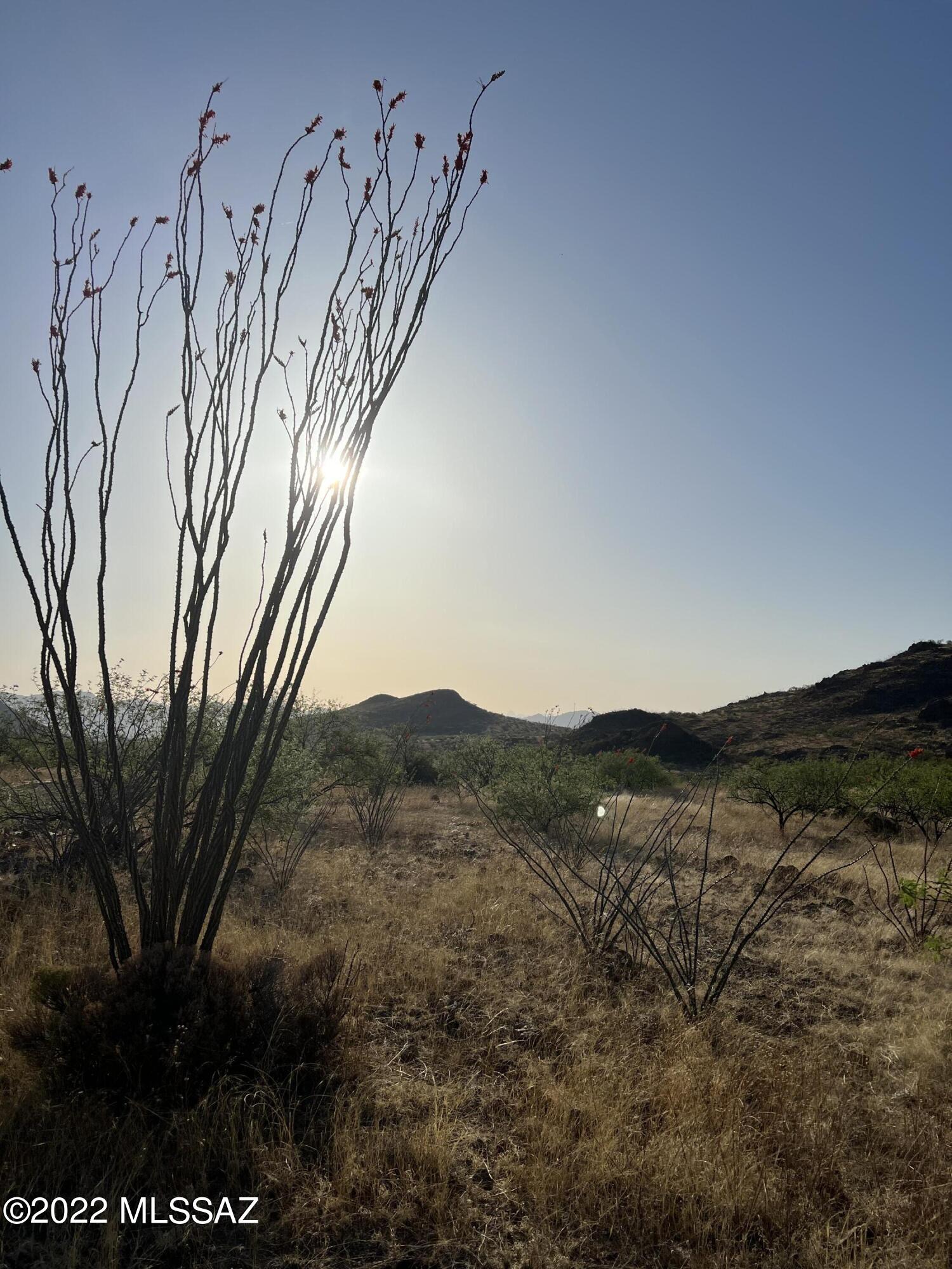 Salero Ranch - Land