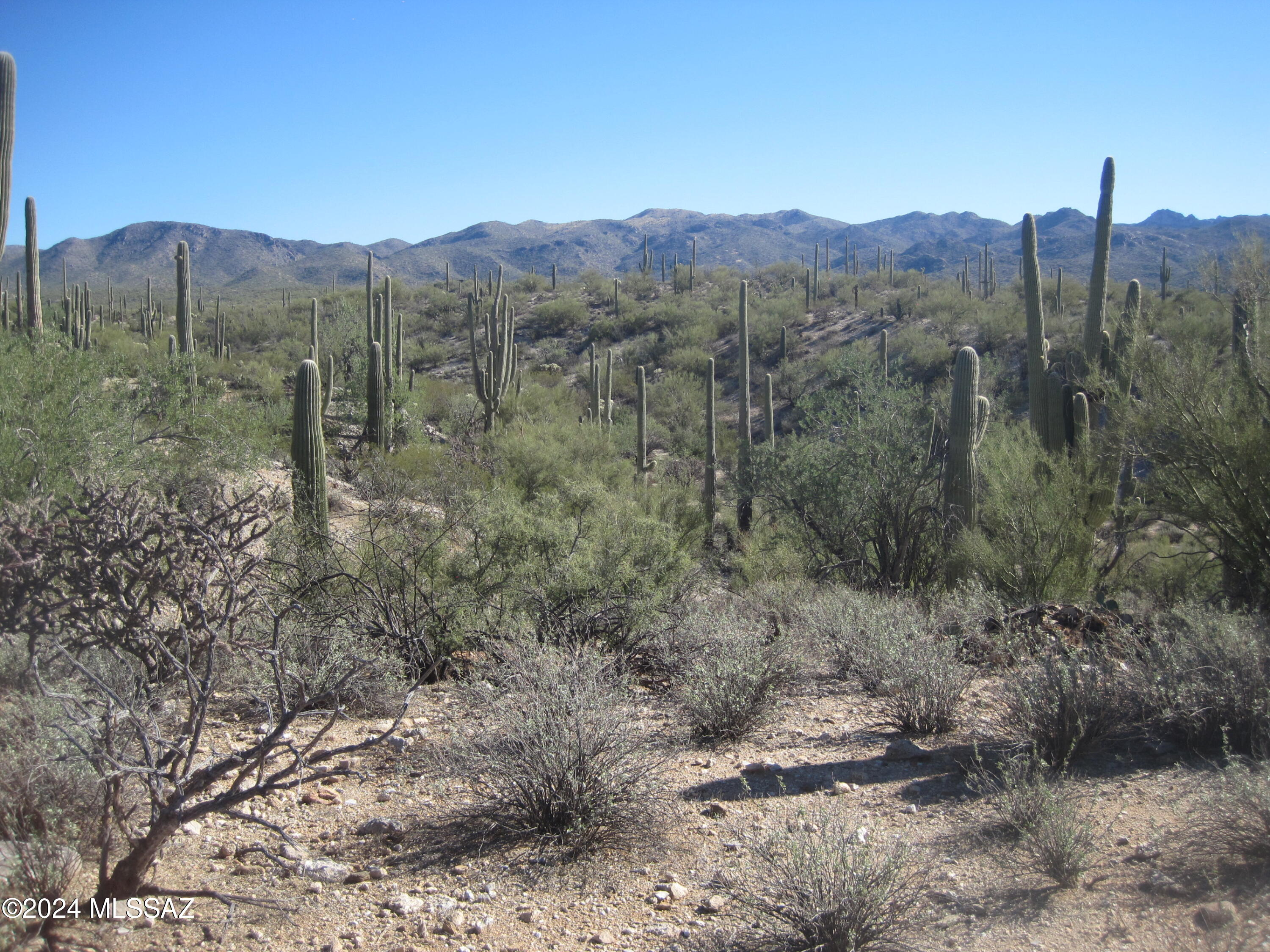 High Elegant Land. Secluded sweeping views, vegetation and serenity. Animal friendly, and 3 areas excellent for building. A treasure in the Tortolitas!