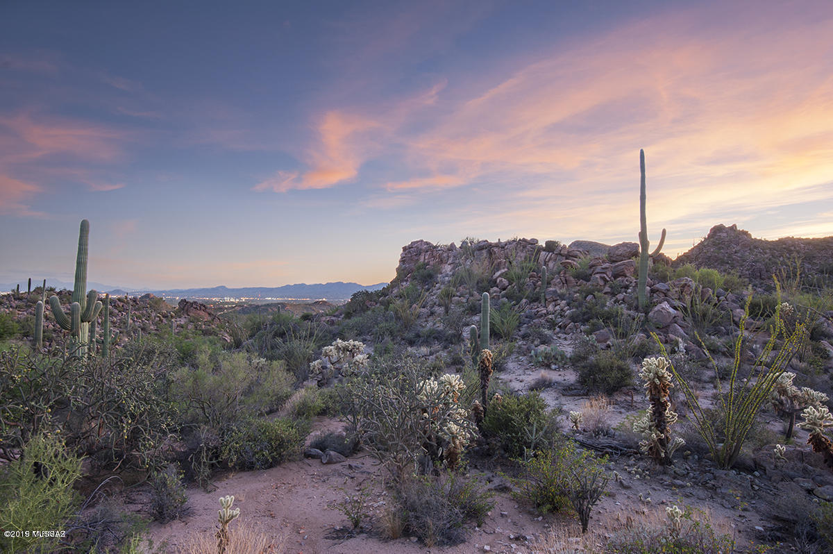 Saguaro Ranch (9-52) Blks. 1-4 - Land