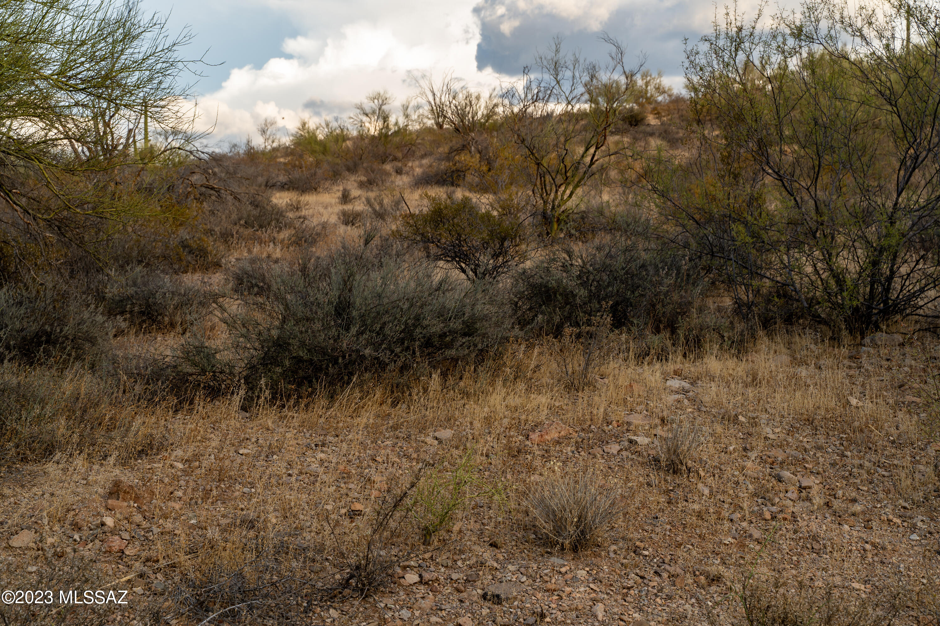 Tucson Mountain Reserve (1-124) - Land