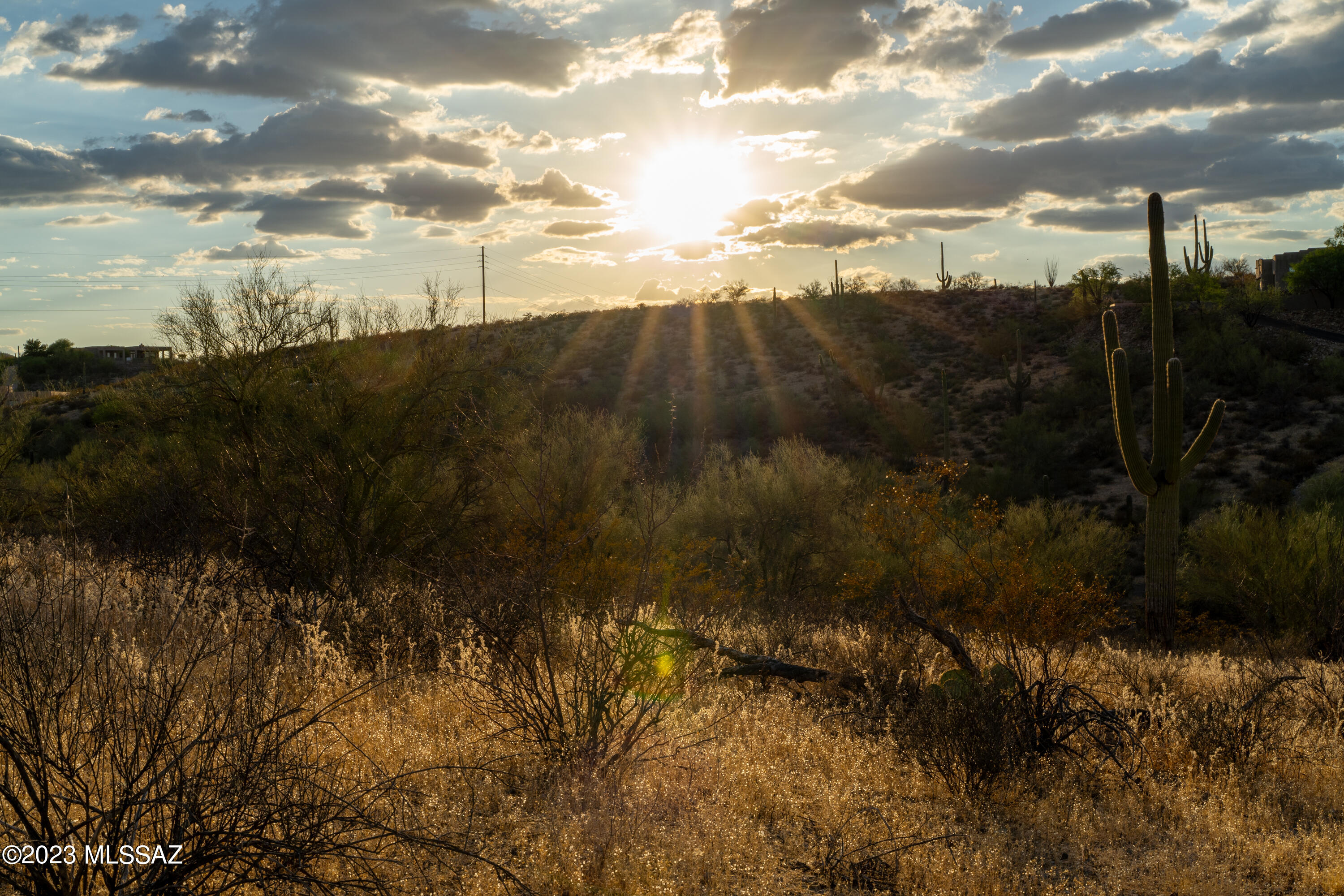 Tucson Mountain Reserve (1-124) - Land