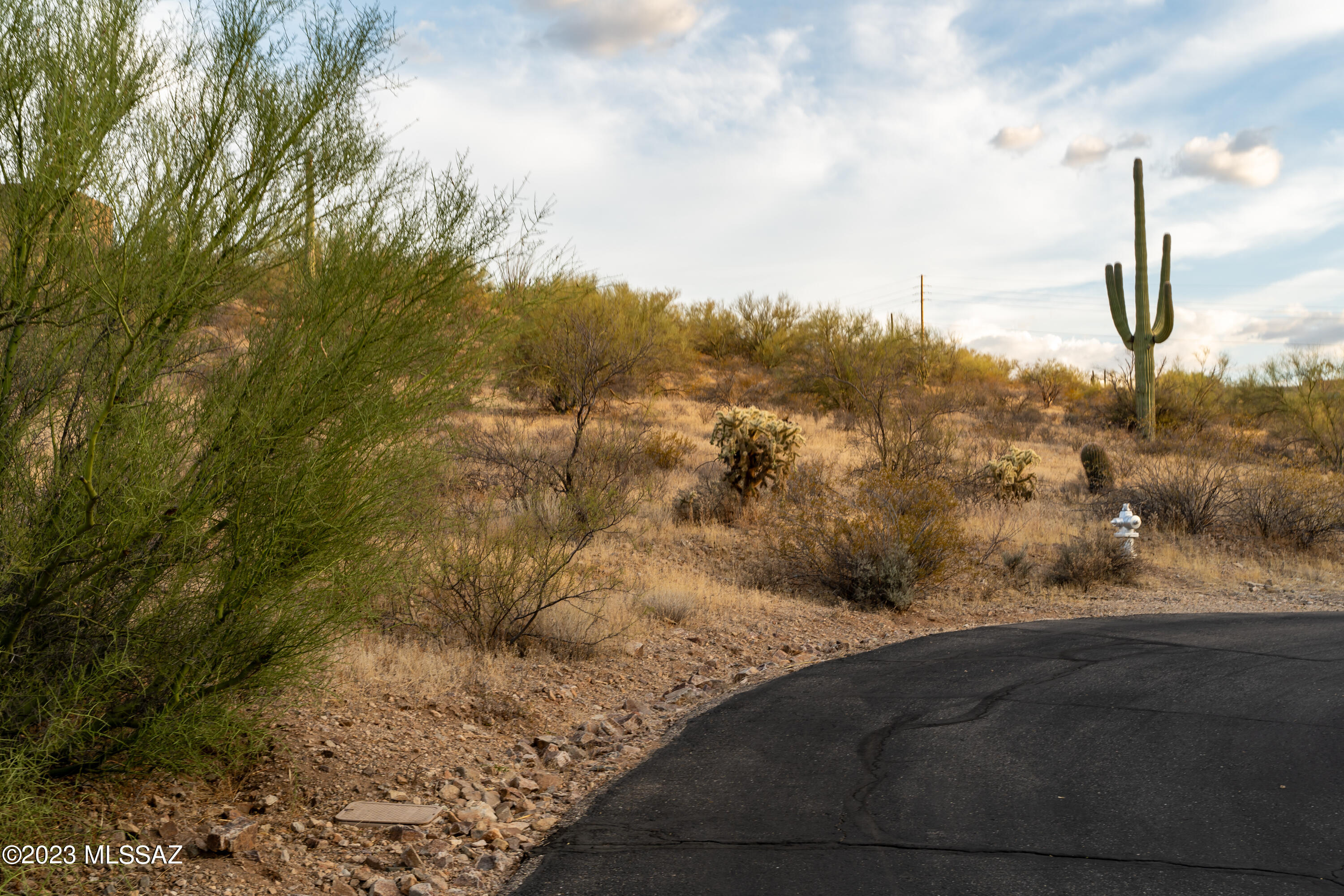 Tucson Mountain Reserve (1-124) - Land