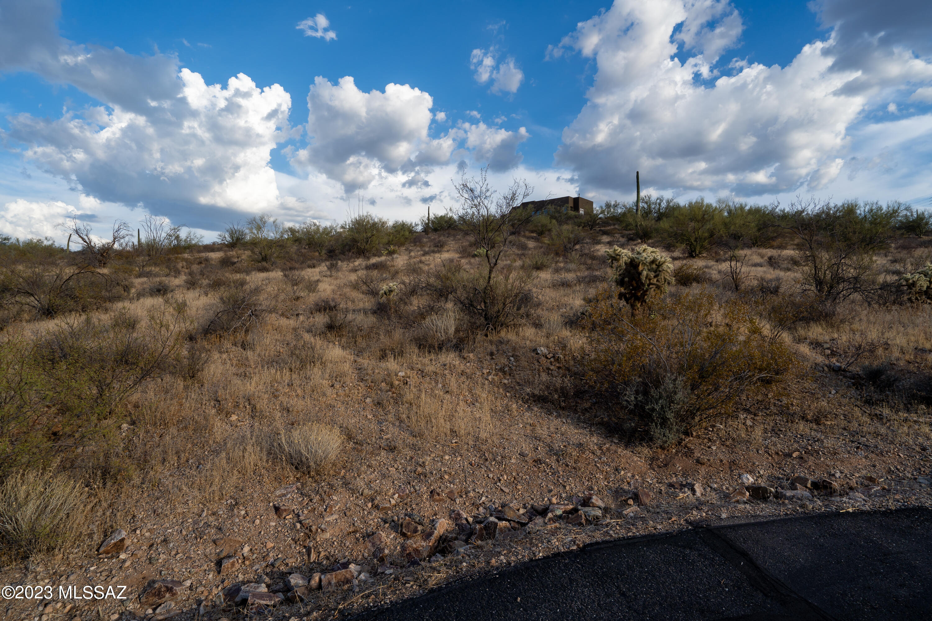 Tucson Mountain Reserve (1-124) - Land