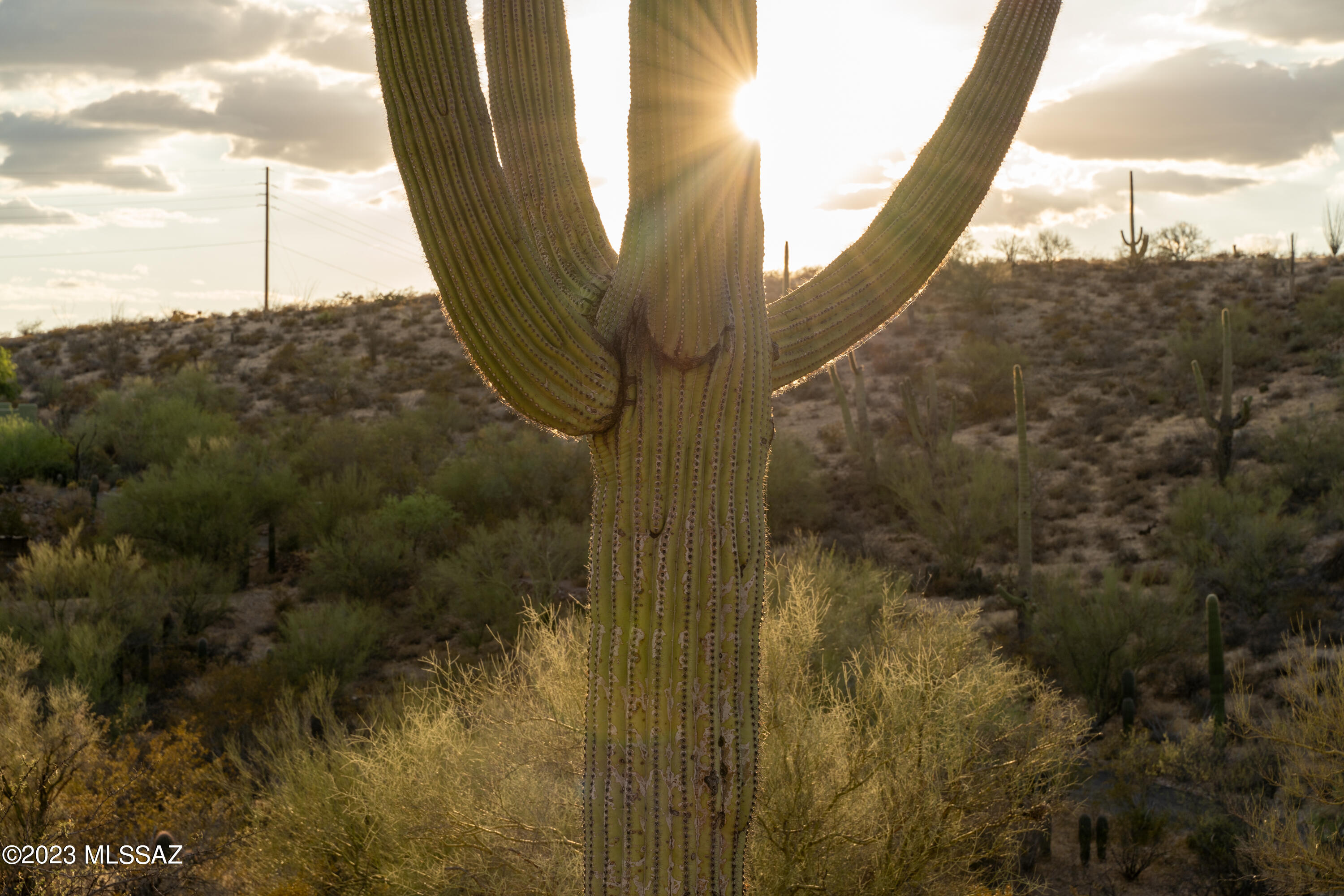 Tucson Mountain Reserve (1-124) - Land