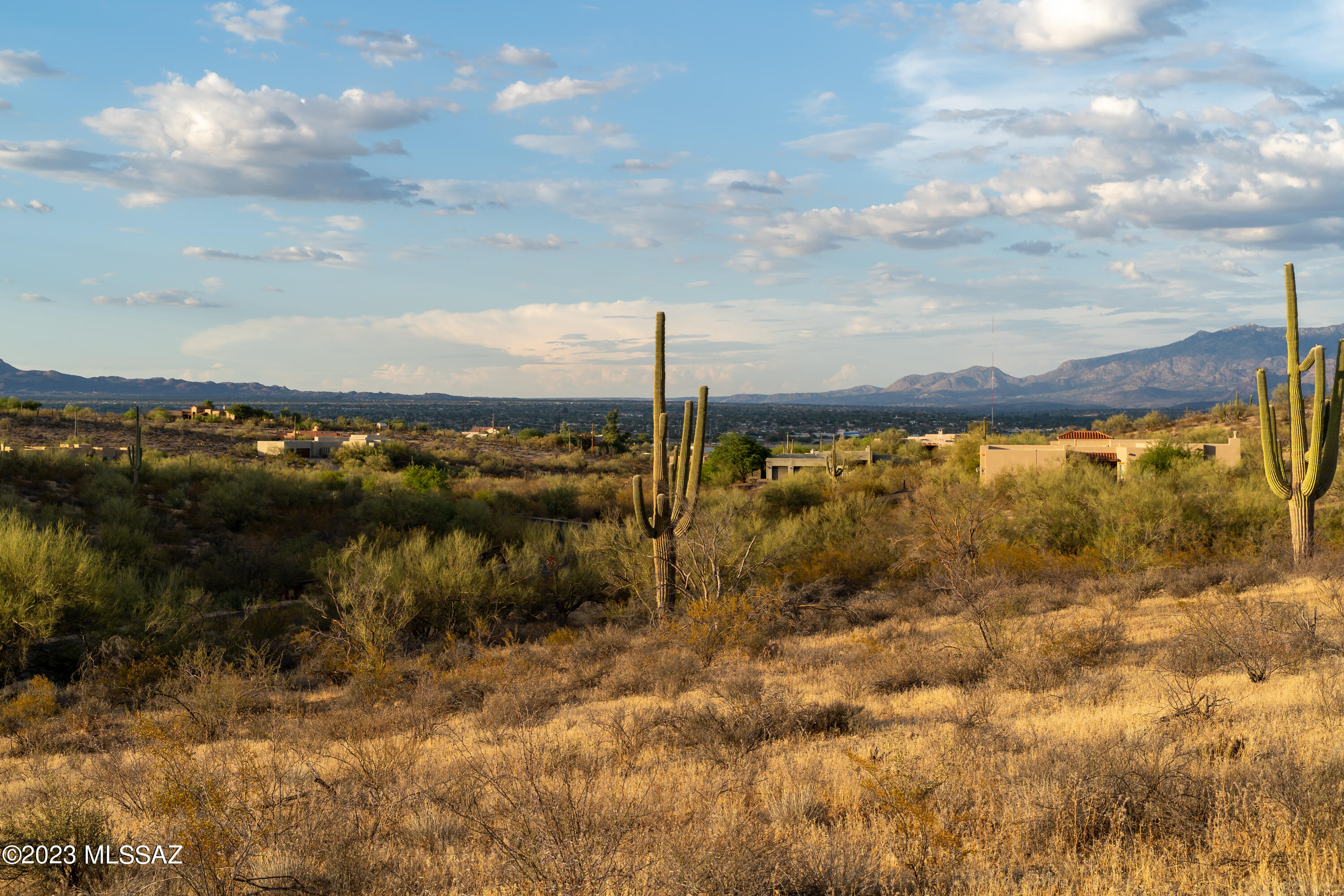 Tucson Mountain Reserve (1-124) - Land