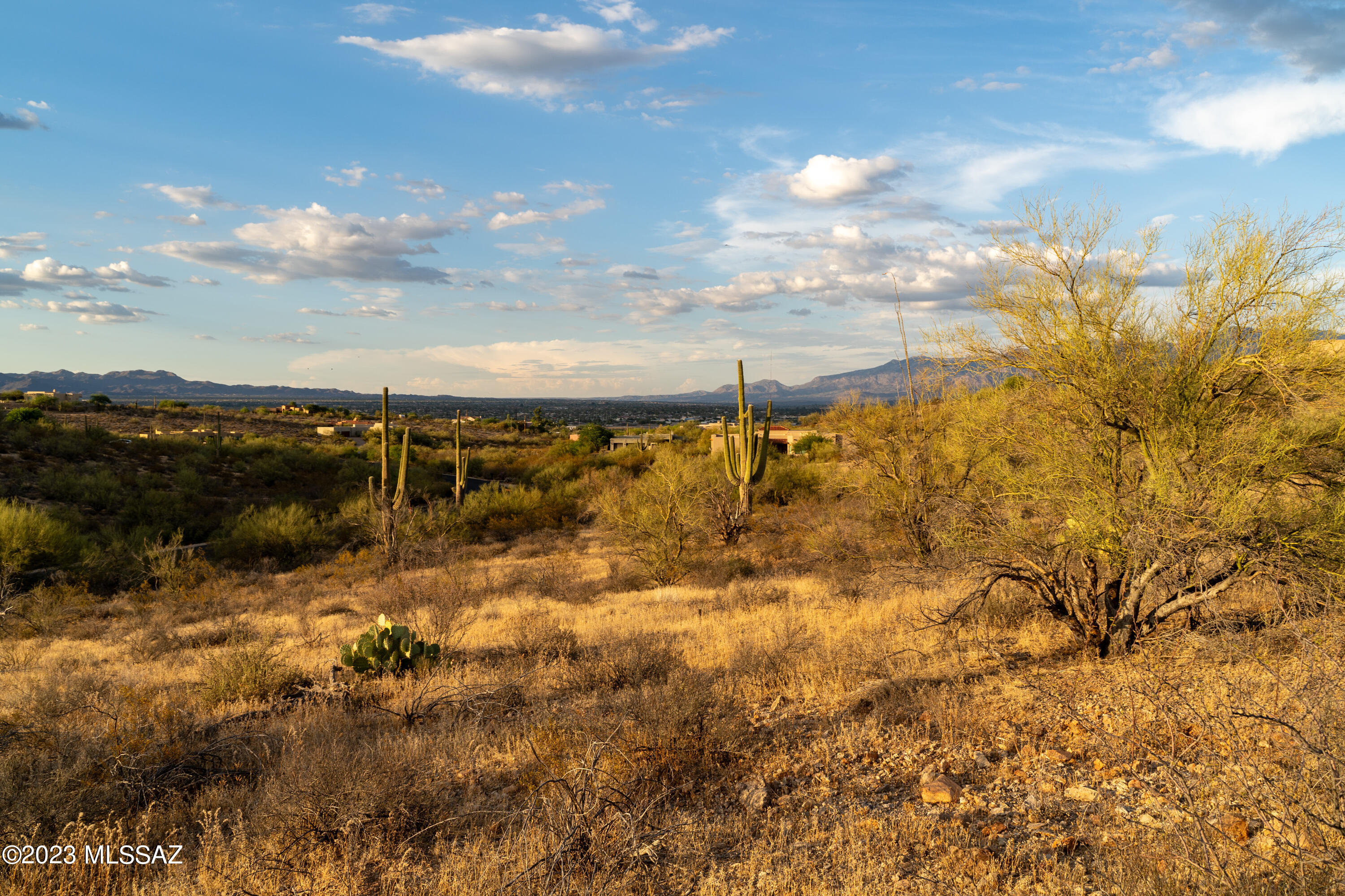 Tucson Mountain Reserve (1-124) - Land