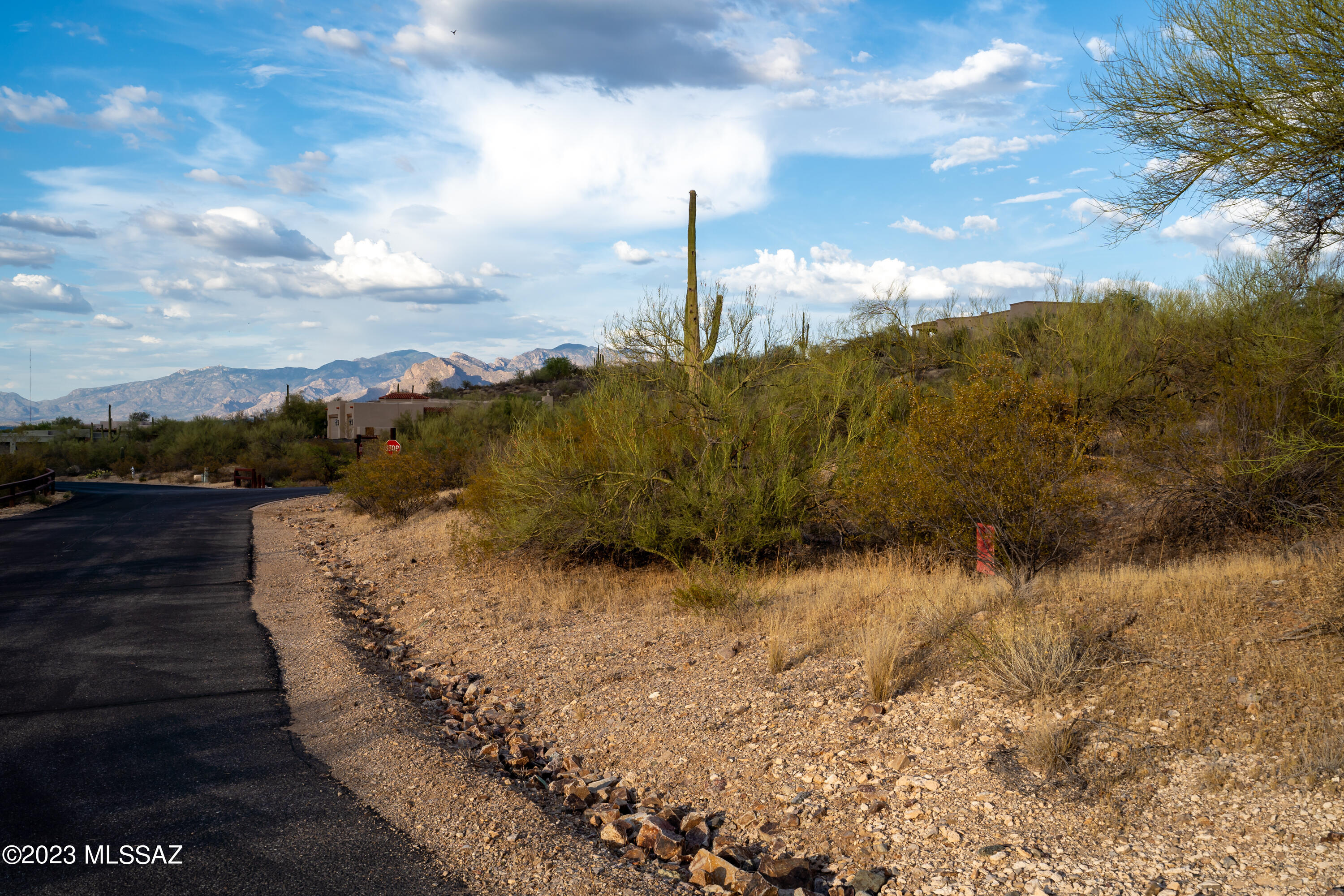 Tucson Mountain Reserve (1-124) - Land