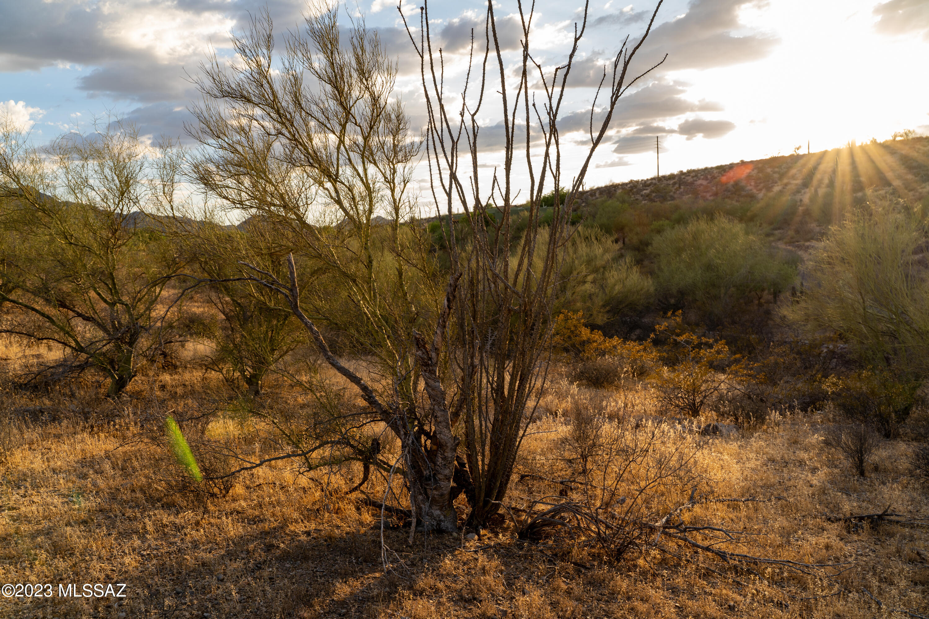 Tucson Mountain Reserve (1-124) - Land