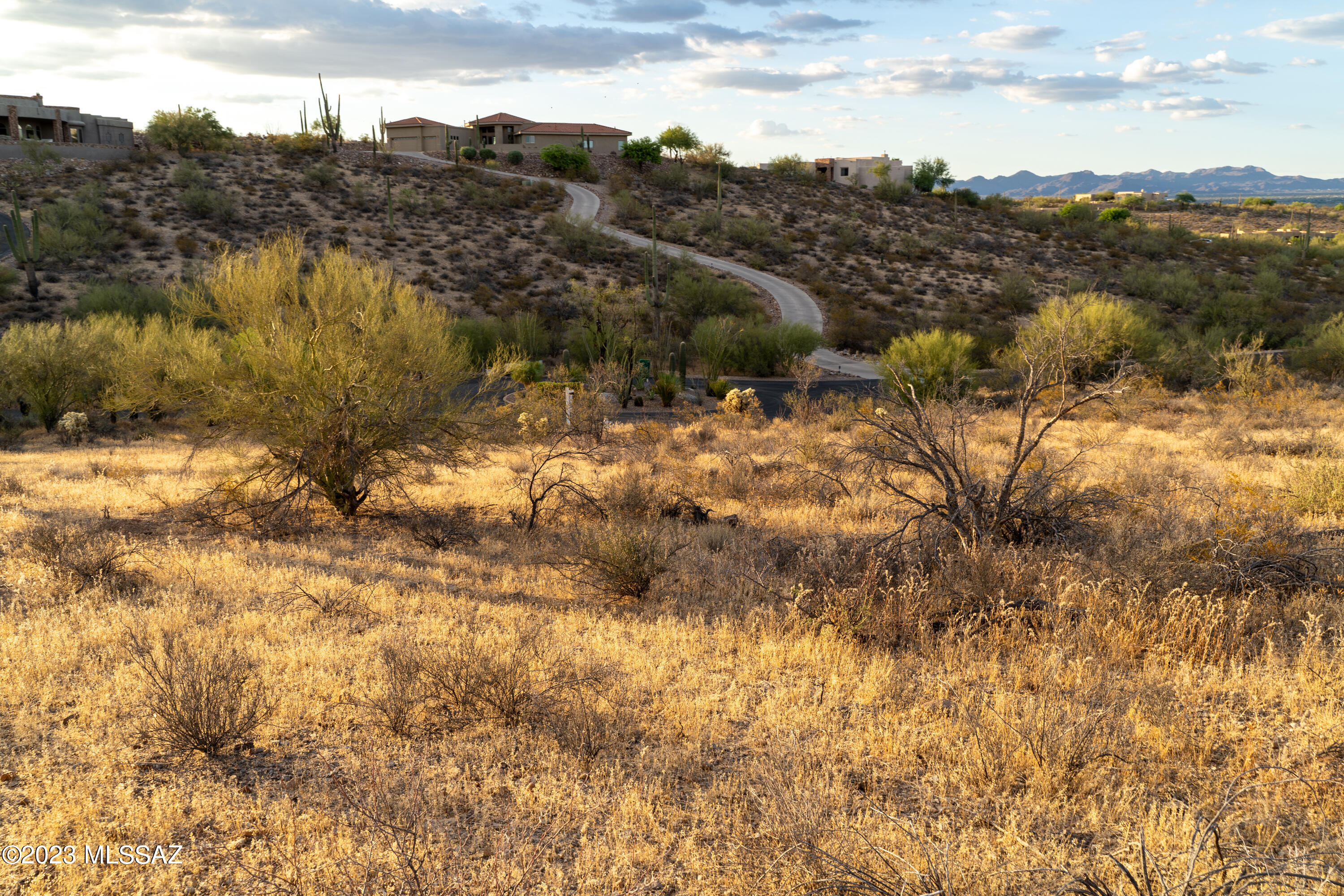 Tucson Mountain Reserve (1-124) - Land