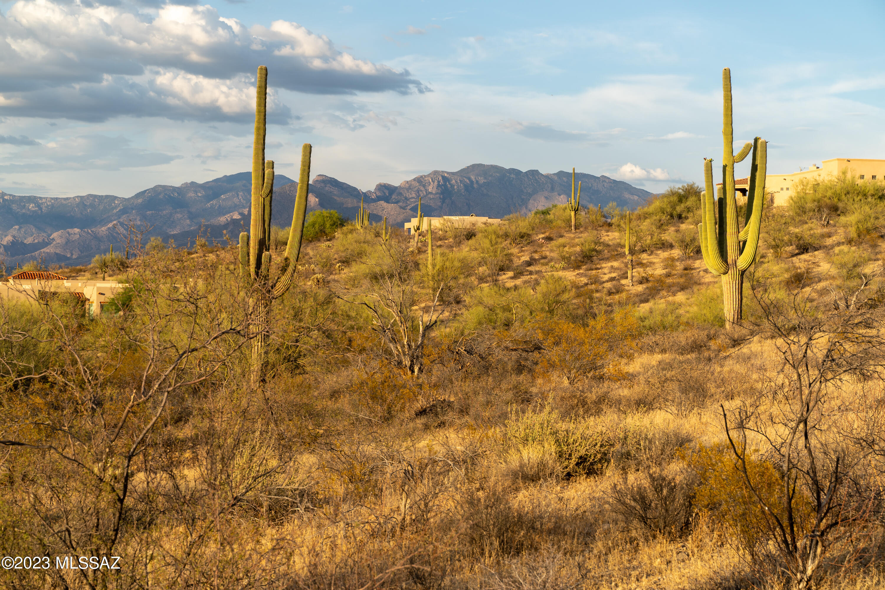 Tucson Mountain Reserve (1-124) - Land