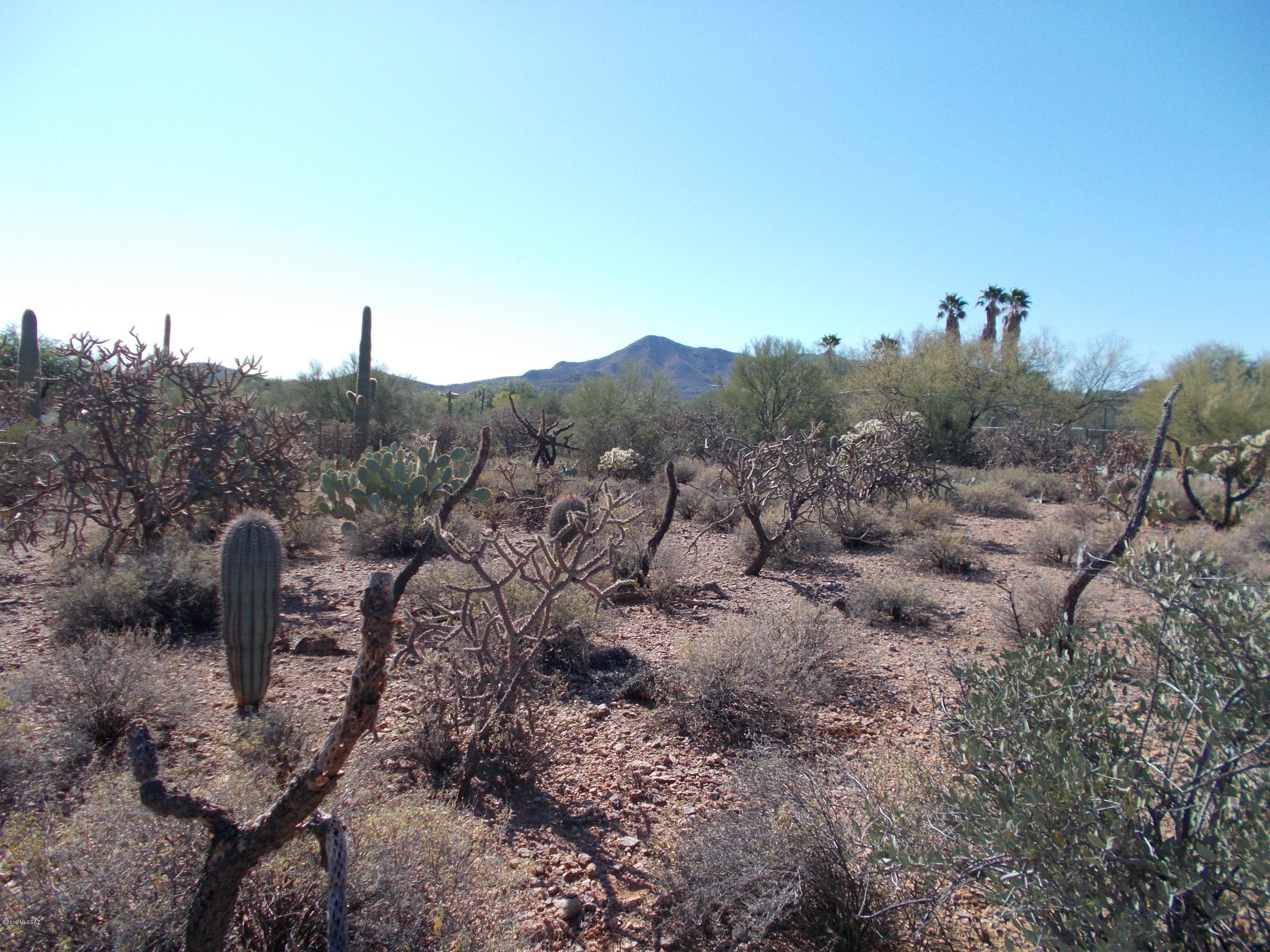 A RARE FIND at ONLY $69,900! FLAT, BEAUTIFULLY VEGETATED, QUIET, appx acre lot with WIDE OPEN, BACKYARD VIEWS of TUCSON CITY LIGHTS. From the sign, walk 215' east from the street and be IMPRESSED at the PRIVACY and VIEWS. Excellent westside location; a short drive to I-10, Downtown Tucson and all of Tucson's amenities. Gas, water, electric and cable available int he street, buyer to bring them to the site. No HOA; build what you want on your own timetable or just hold for investment. Close by home on the street listed at $649,000 is now Active Contingent. DON'T MISS THIS ONE.