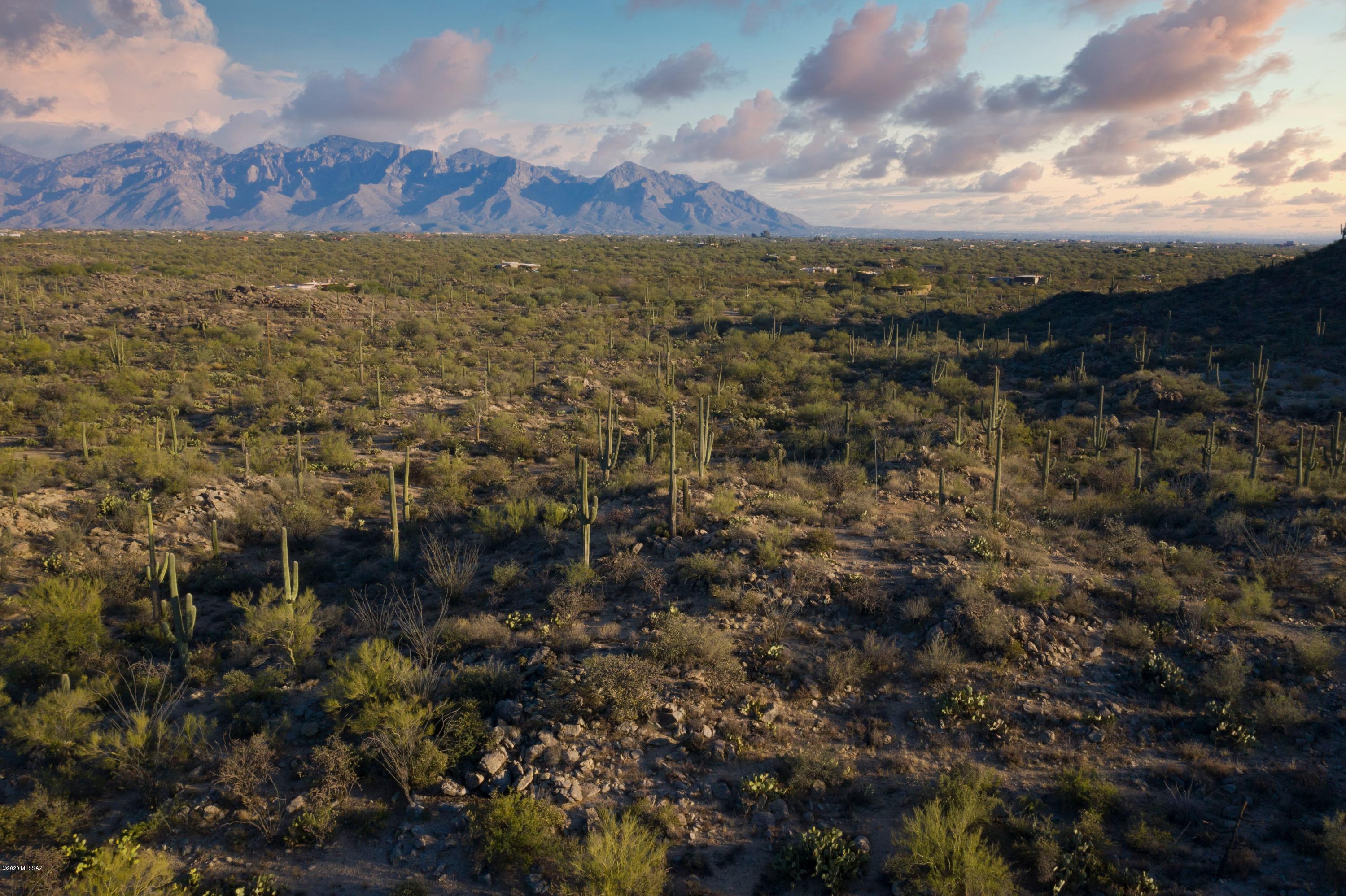 Saguaro Ranch South Amended - Land
