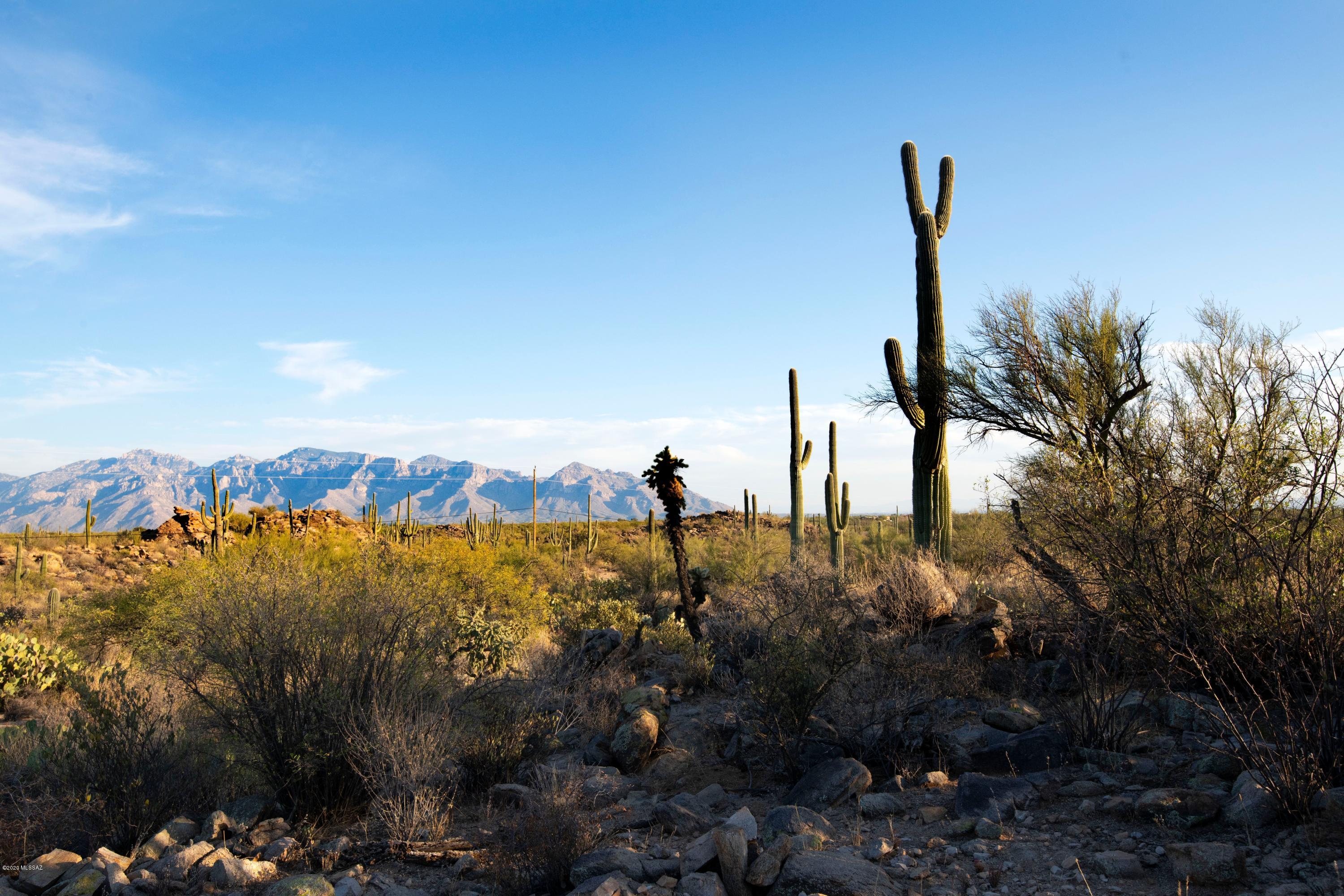 Saguaro Ranch South Amended - Land
