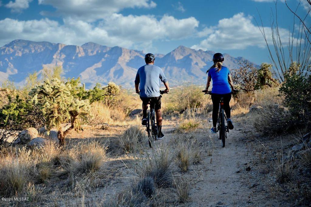 Saguaro Ranch South Amended - Land