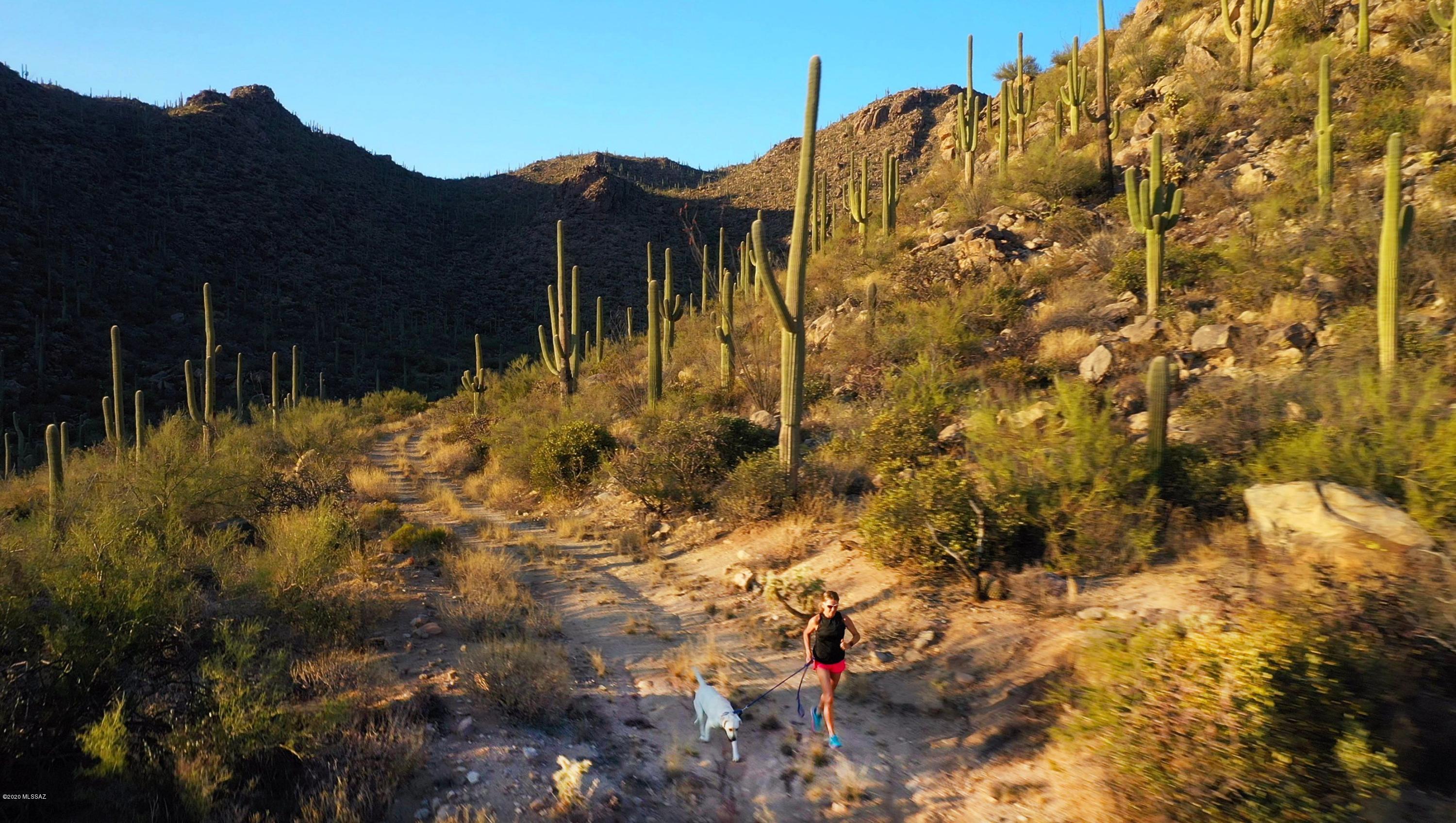 Saguaro Ranch South Amended - Land