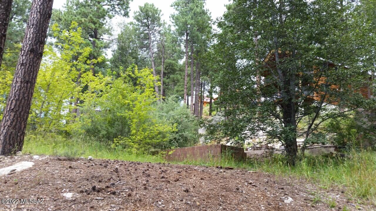 WOW! Your chance to own your unique slice of heaven on Mount Lemmon.  Large, just shy of 3/4 acre lot.  Possibilities are endless.  This lot is year round accessible with direct access to Sabino Canyon parkway.  There are no comparable lots left on the mountain.     Has septic that was certified in 2022.  Possible rezoning for commercial.  Do not miss this opportunity to build your dream!