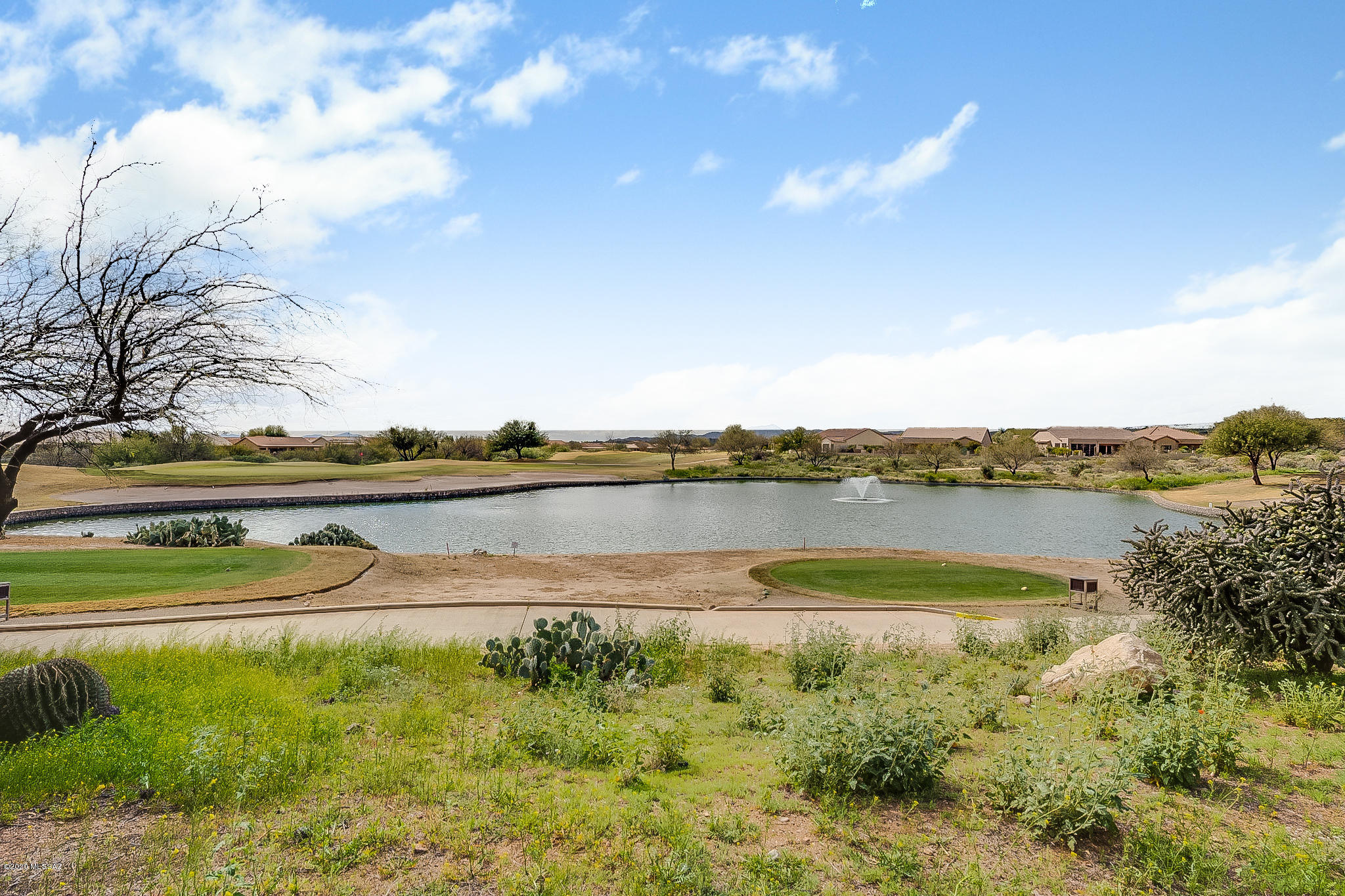 Saddlebrooke - Residential
