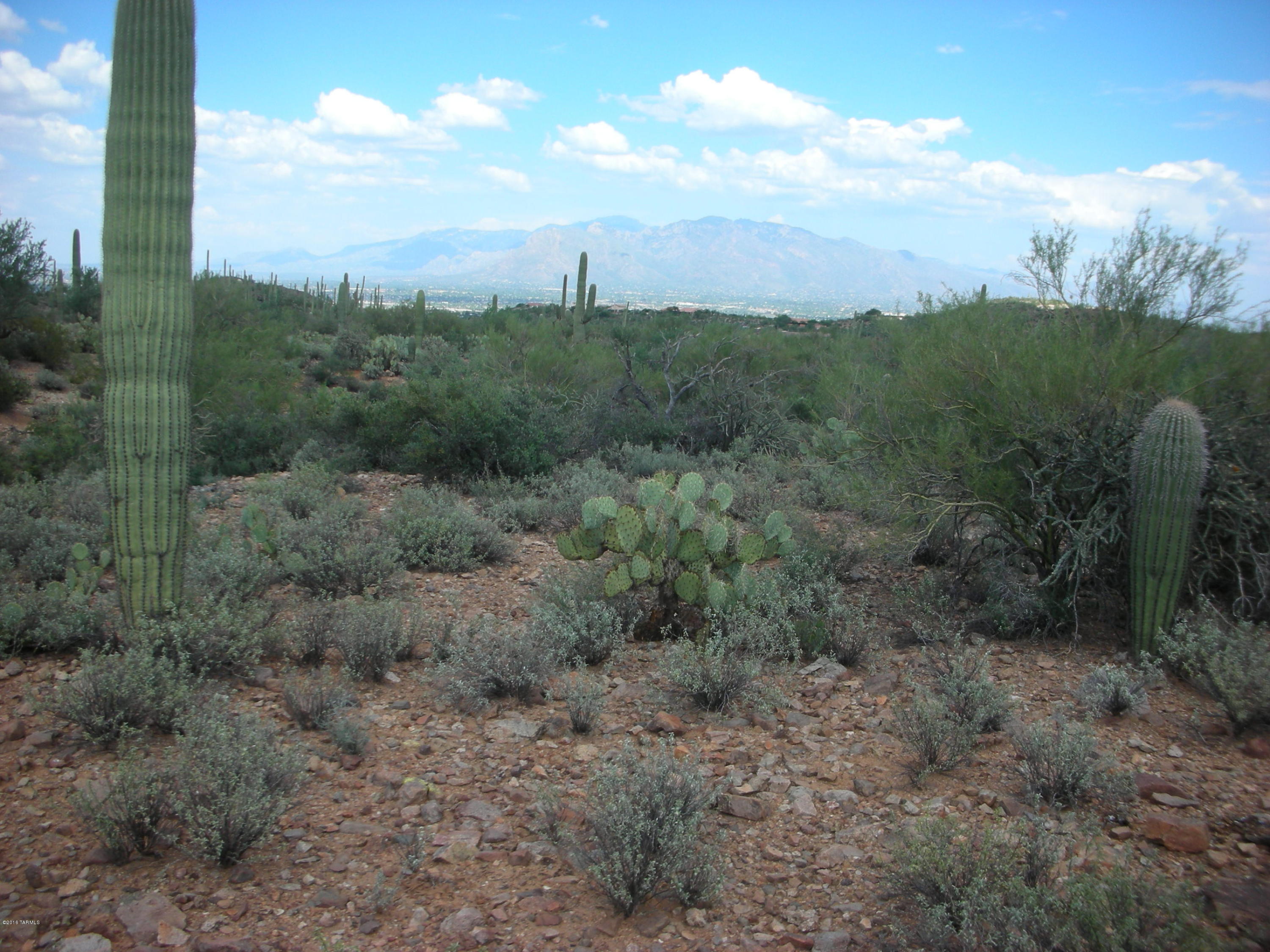 1st TIME on MARKET. 40 PRISTINE ACRES bordering PIMA COUNTY owned, 700 acre SWEETWATER PRESERVE. Family owned for 30+ years, you will not find a more PERFECT EXAMPLE of UNSPOILED and LUSH, HIGH DESERT PROPERTY. GENTLE KNOLLS, FLAT & USABLE AREAS,SAGUARO & OCOTILLO FILLED; all with UNOBSTRUCTED and BREATH TAKING VIEWS of the TUCSON BASIN and the peaks and valleys of the TUCSON MOUNTAINS. Electric/phone approx. 500 feet away on Avenida Dos Vistas. No deed restrictions. Subject only to County, SR zoning requirements. Excellent access. Recently surveyed. One of the last PRIVATELY OWNED TREASURES in the TUCSON MOUNTAINS.