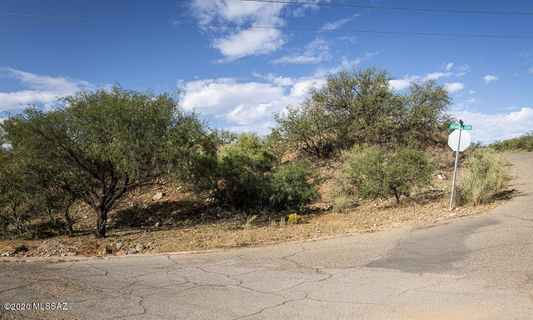 Rio Rico Estates 16 - Land