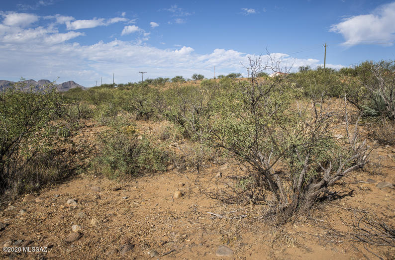 Rio Rico Estates 16 - Land