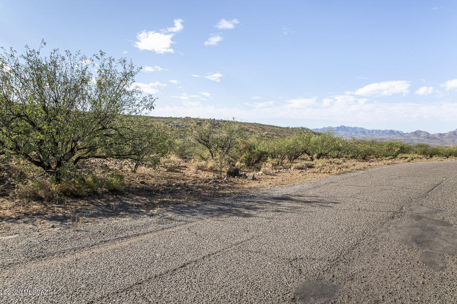 Rio Rico Estates 16 - Land