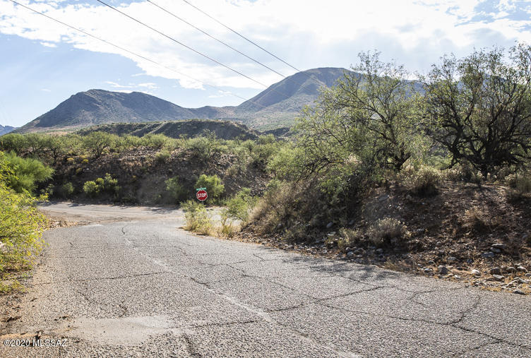 Rio Rico Estates 16 - Land